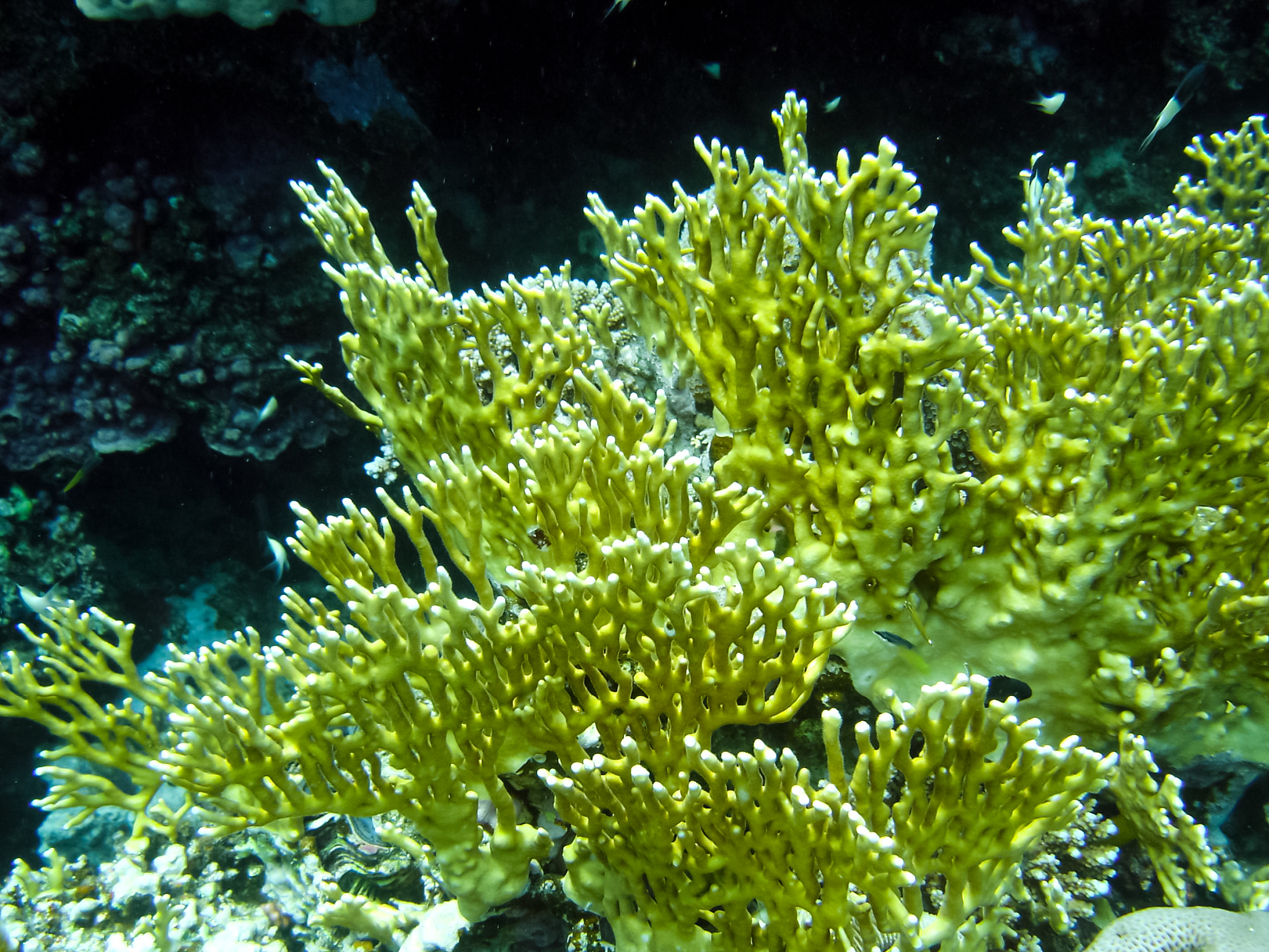 Contemporary Ink Landscape Artists and the Exploration of Composite Materials: Exploring Material Language and Artistic Conception