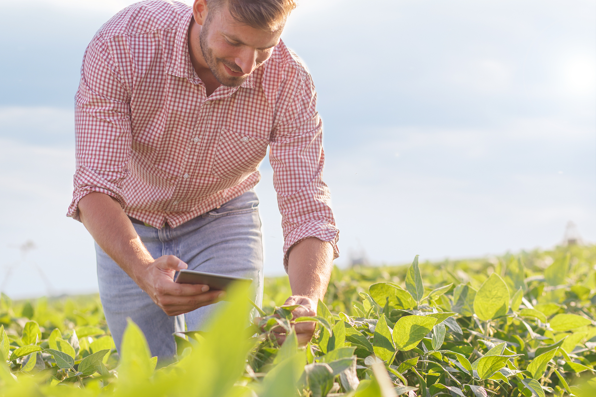 云南省曲靖农校2019年五年制专业计划
