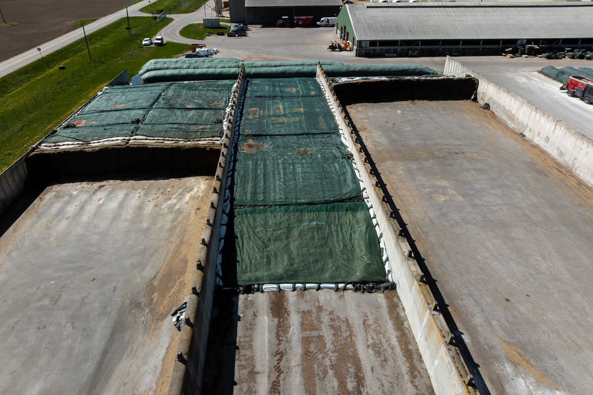 货舱油膜发现及清理计划