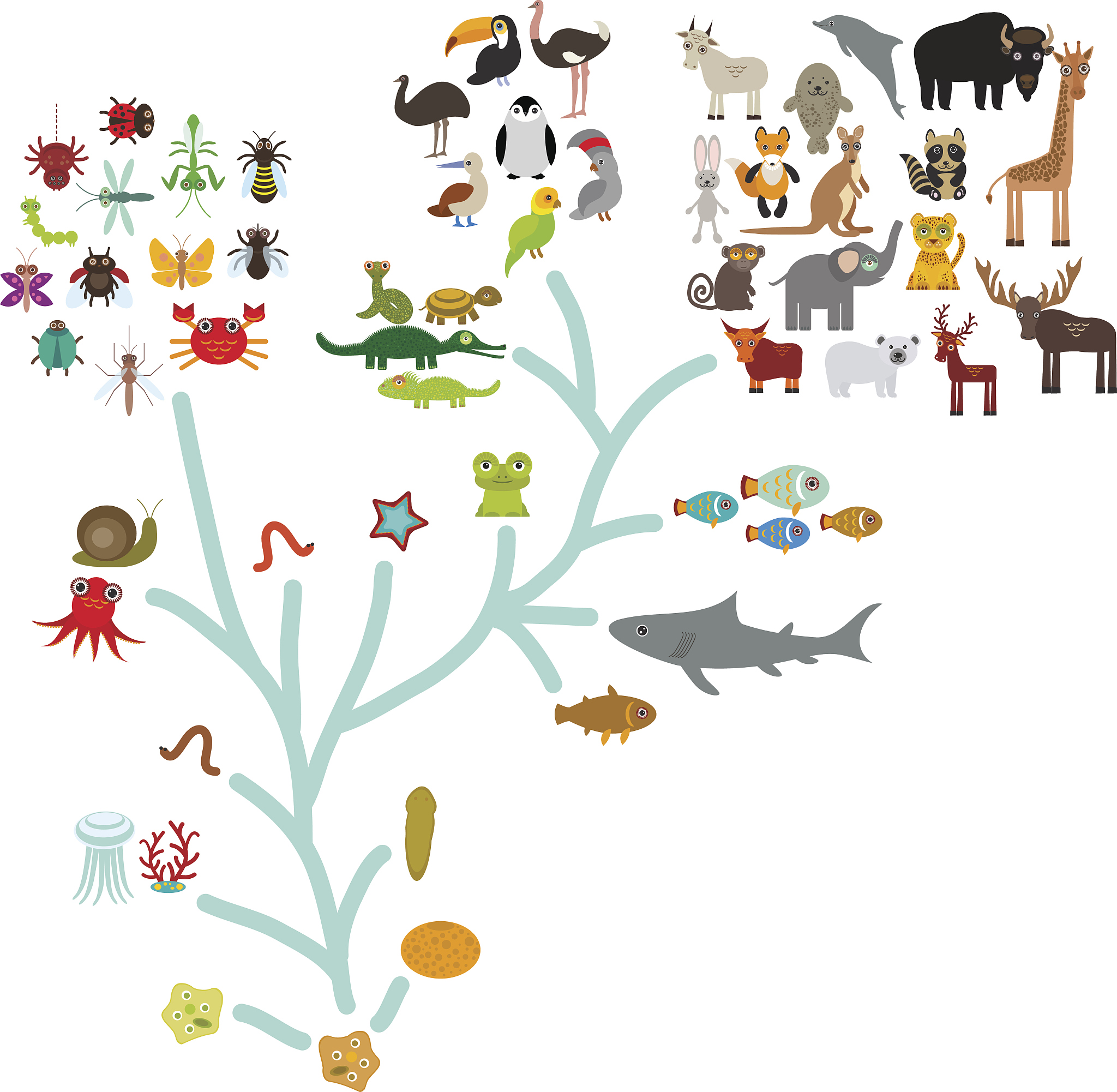 给7岁孩子讲进化论：简单易懂的生物变化故事