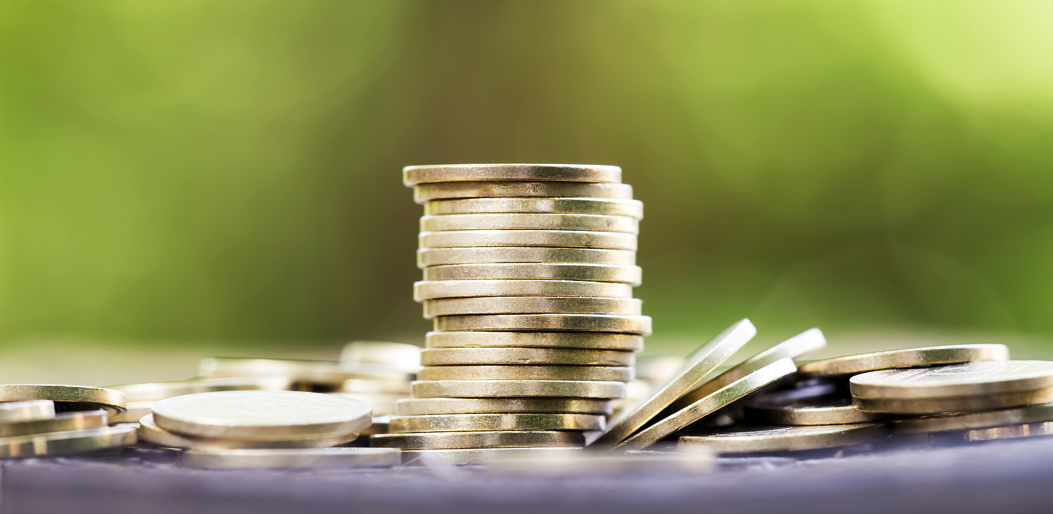 financial freedom concept, web banner
