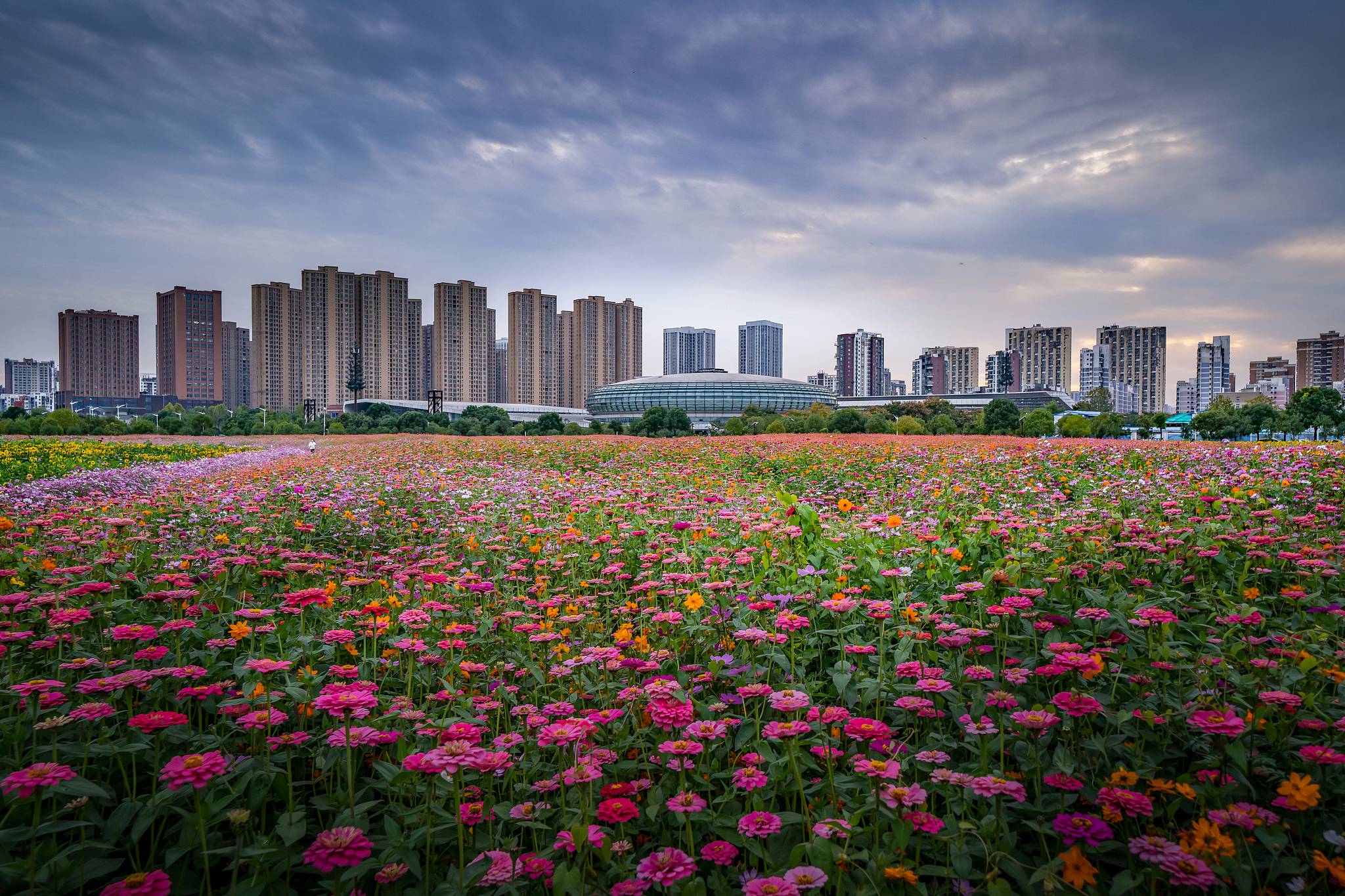 2020年重庆铁路学校招生：专业选择及就业前景