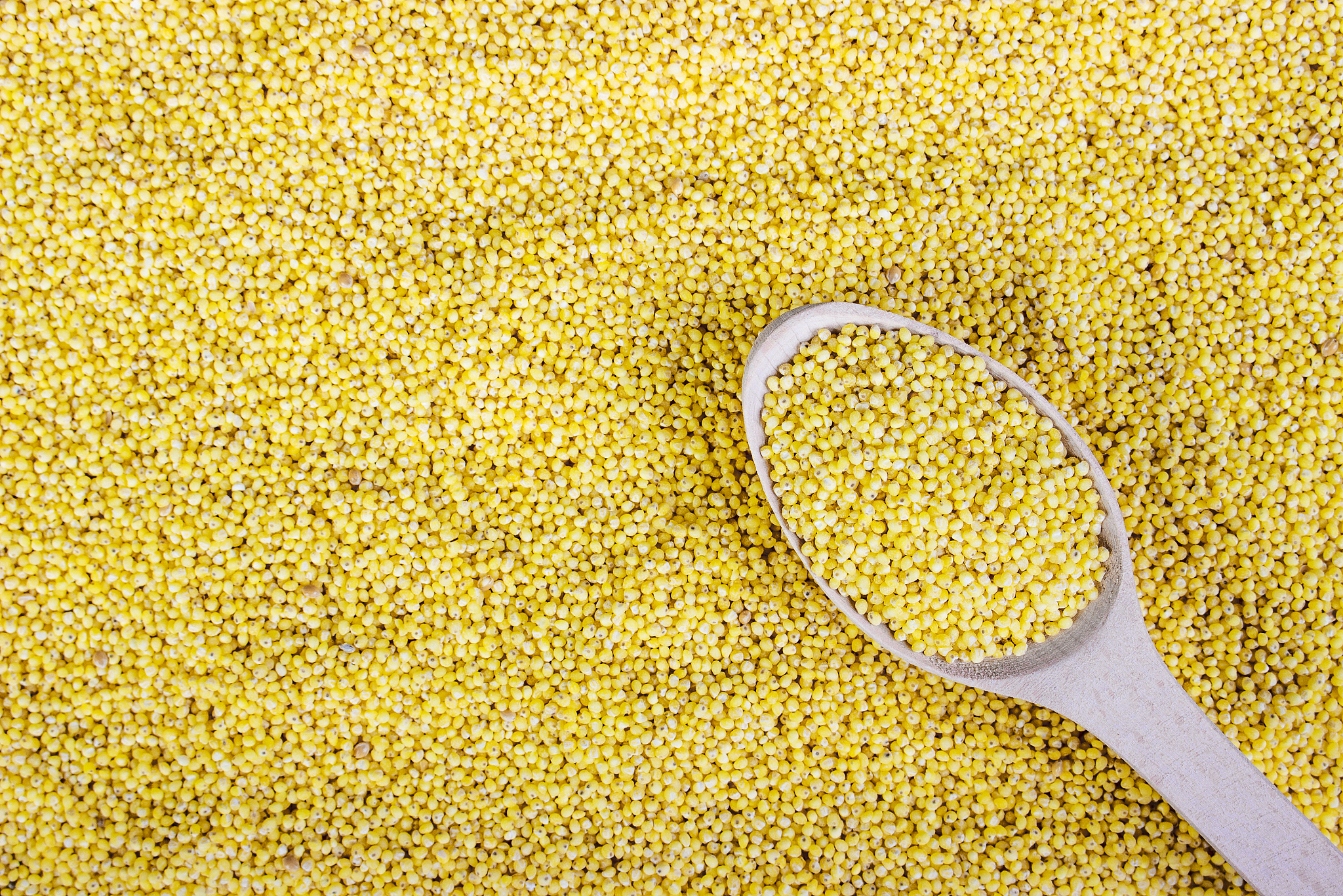 wooden spoon with millet grains on spoon background