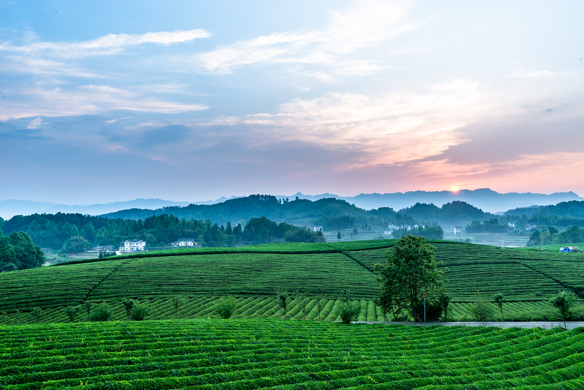 贵州农业职业学院有哪些专业电子技术应用专业就业怎么样