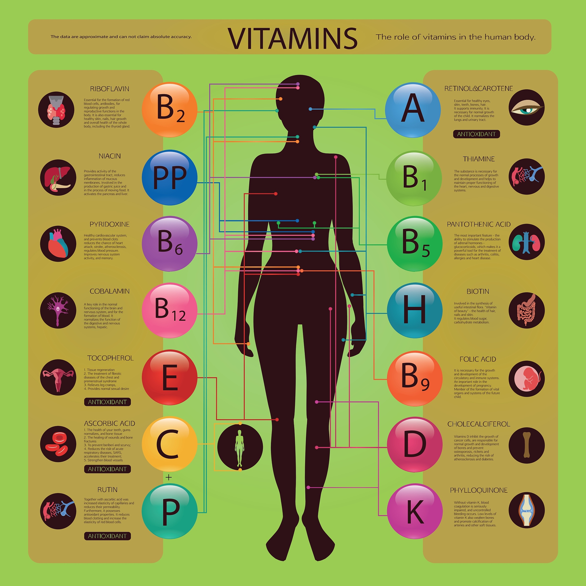 免疫营养素在外科感染中的关键作用：综述