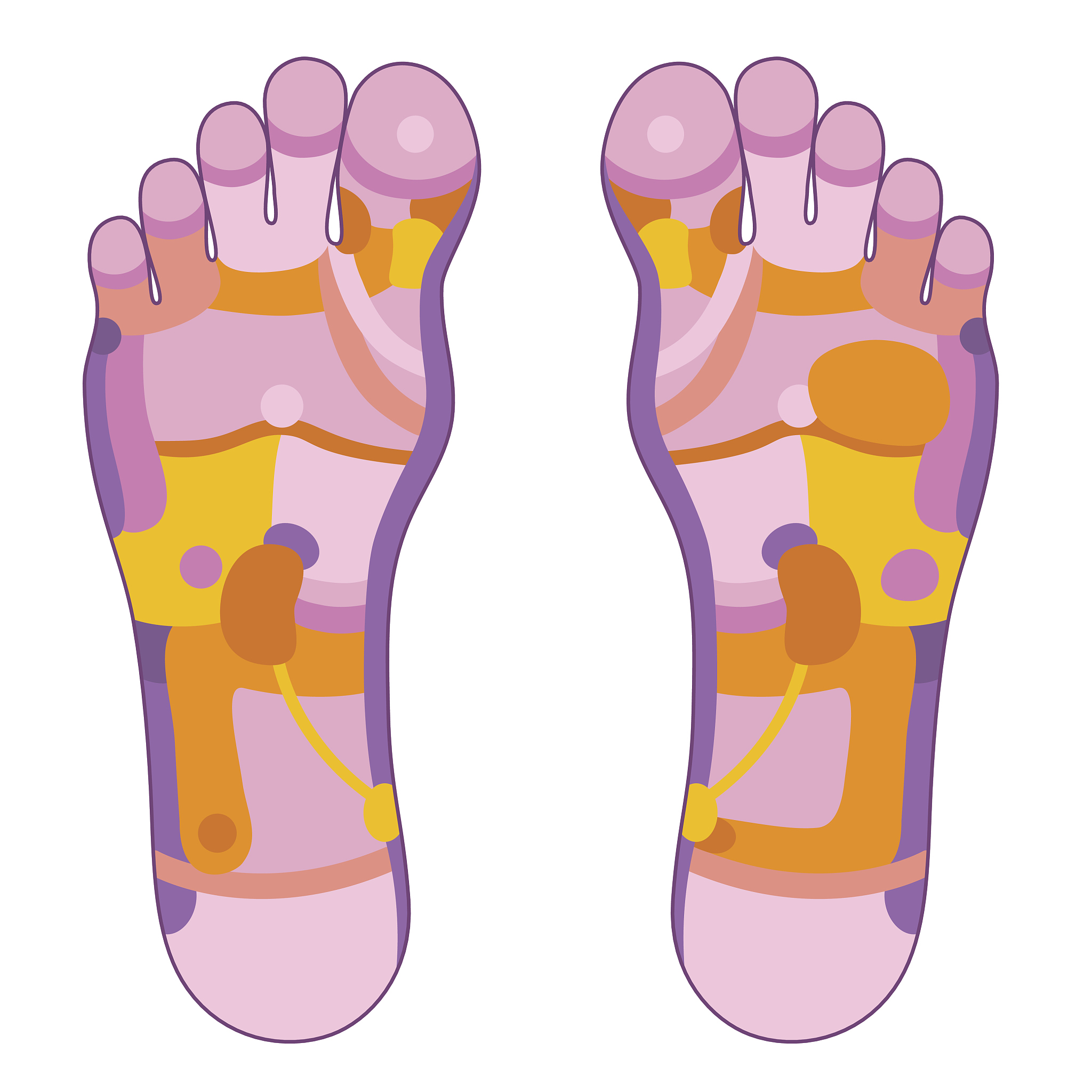 给我一个短视频健康脚本