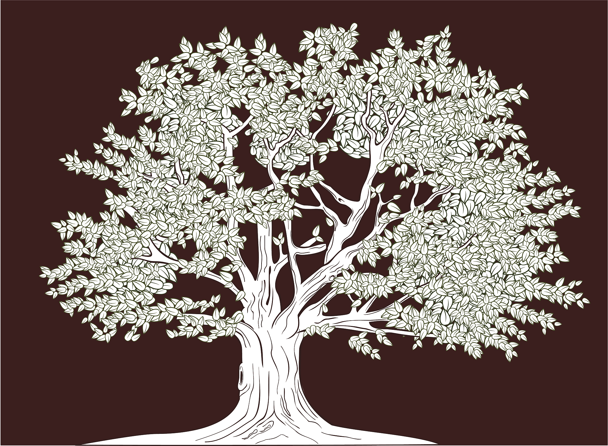 old tree