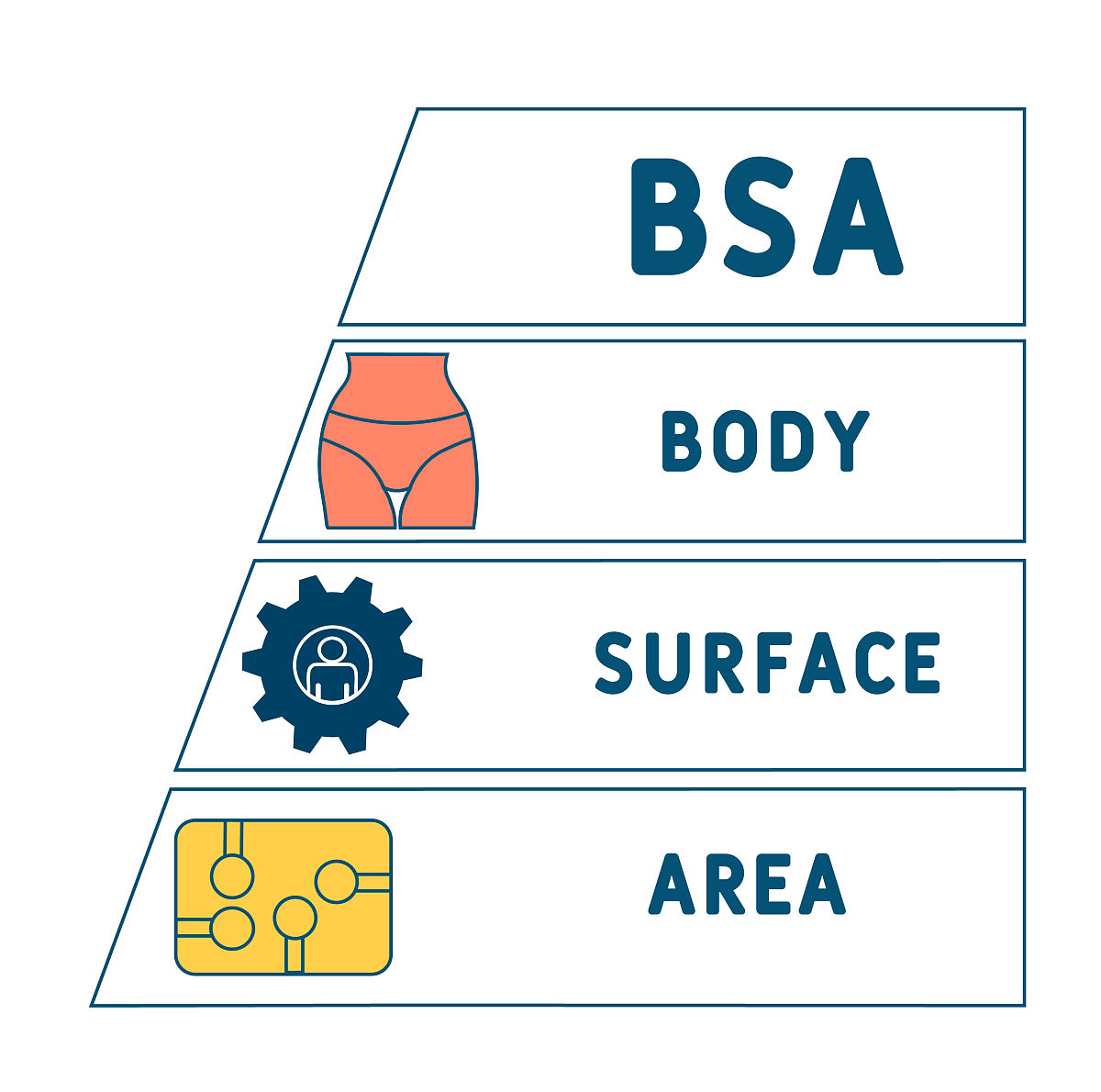 怎么求圆柱体的表面积