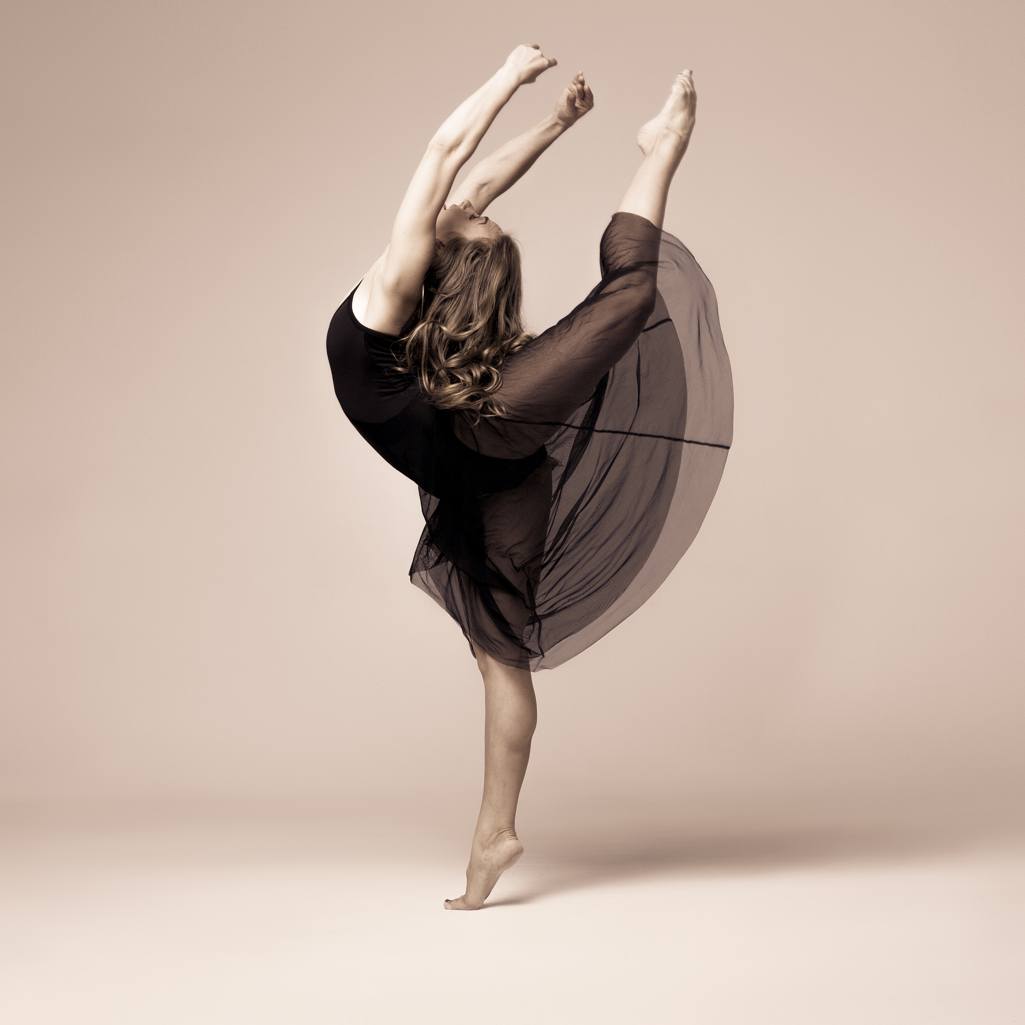 黑白天鹅舞蹈段中通过哪些动作来彰显舞蹈中的力效的对比、形态的对比、身体的对比、空间的对比