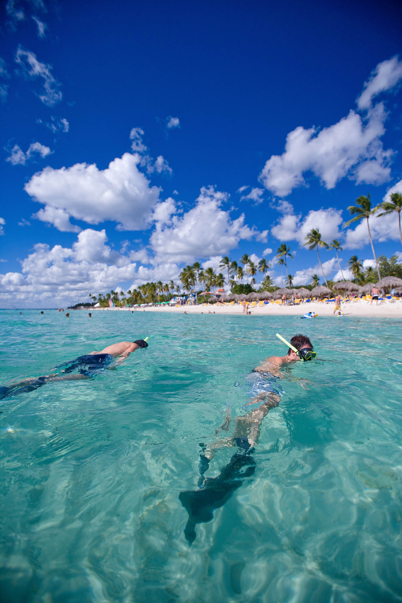 two men snorkeling off tropical beach, dominican republic