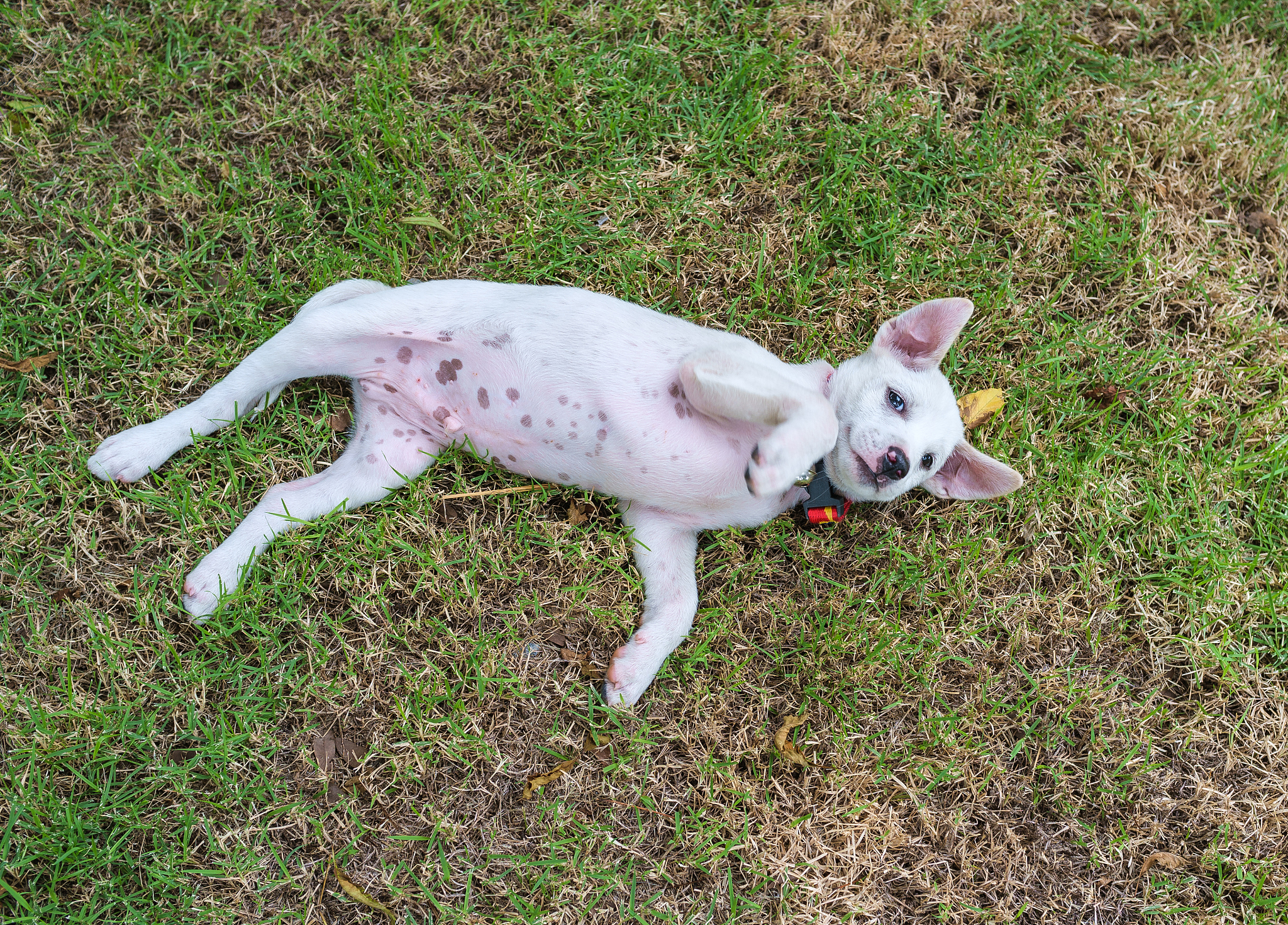 请你帮我写个小故事