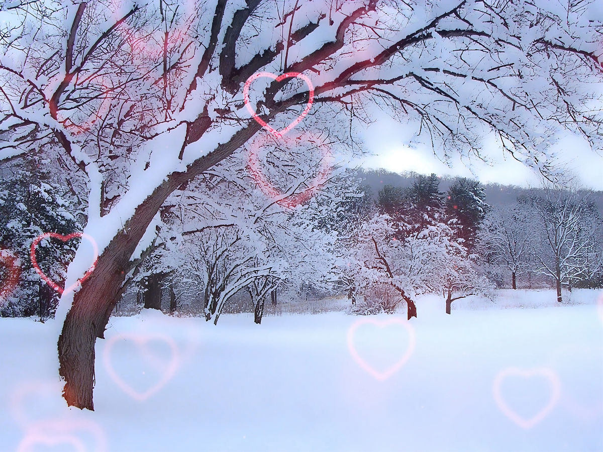 写一首关于冬天的古诗，最少十六行，押韵