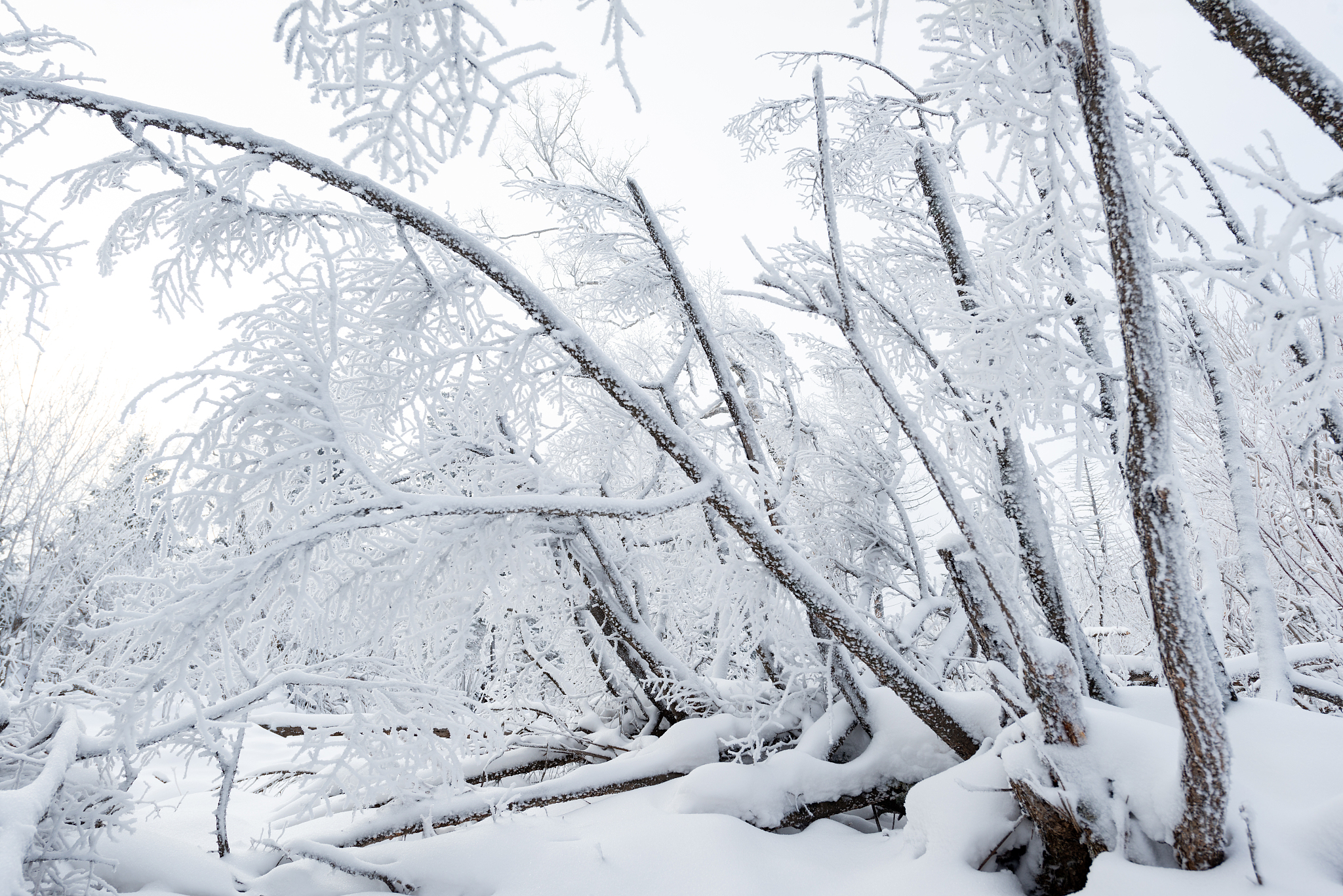 中国滑雪入门指南：便宜、安全、高效学滑雪