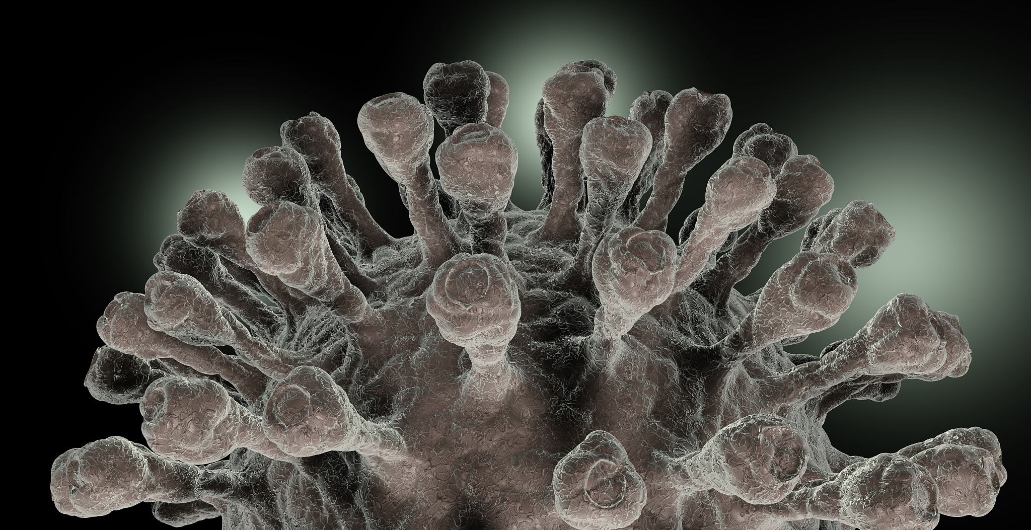 环境微生物学期刊：研究内容详解