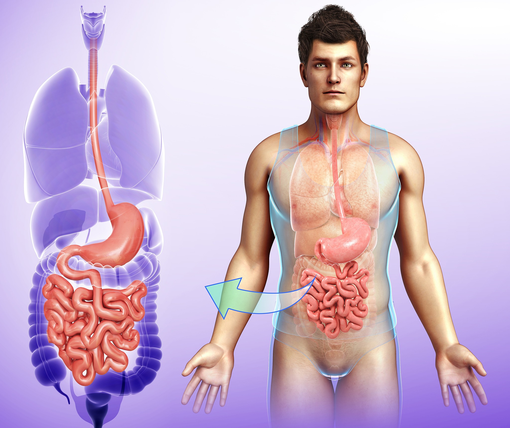 临床医学专业学习内容：课程、知识、发展方向
