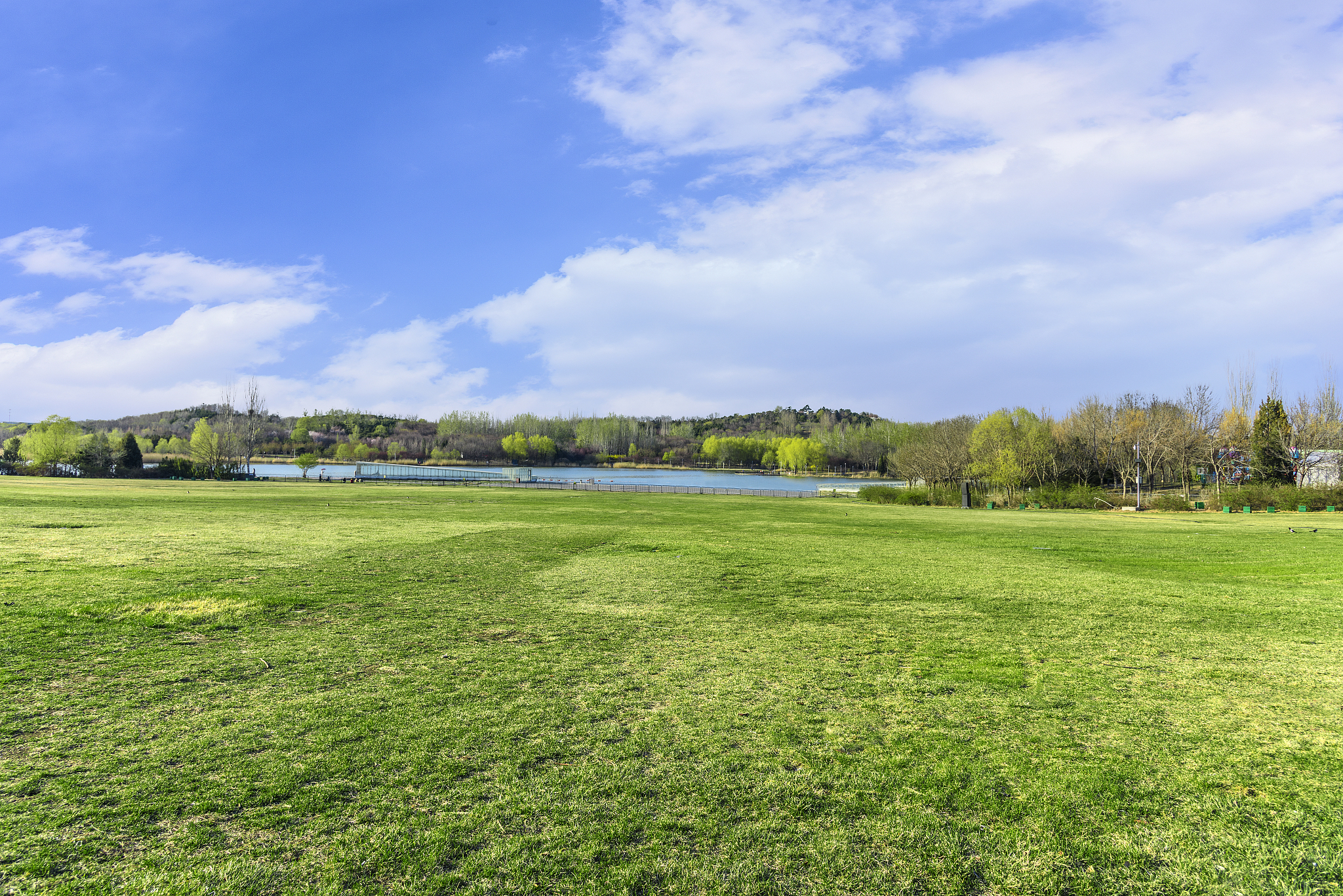 内蒙古草地分等定级标准 - 适宜草种、植被盖度、高度及状况