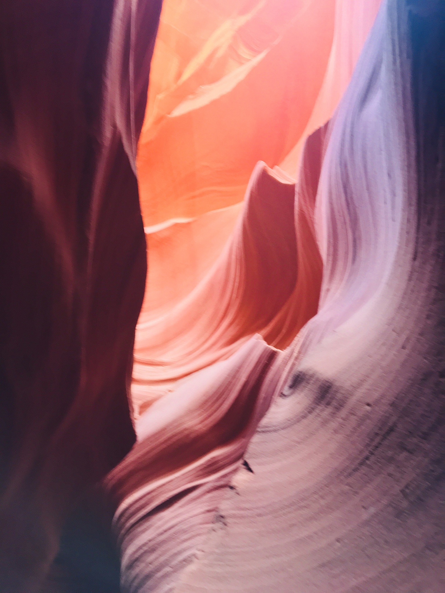 你是一位人口地理学的大学教授