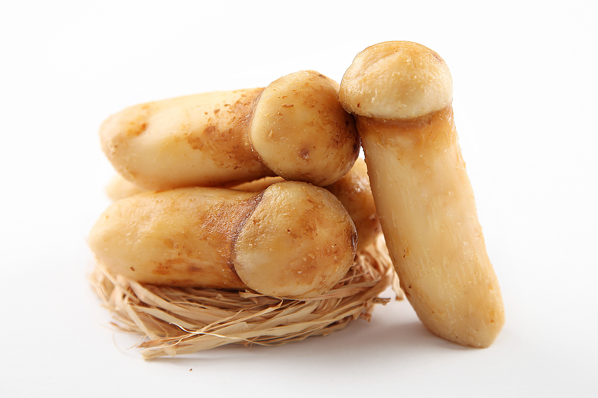 帮我制作一个关于食用菌的的抖音账号？