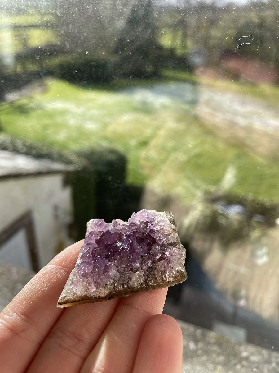 保护环境的名人名言：激励我们行动起来