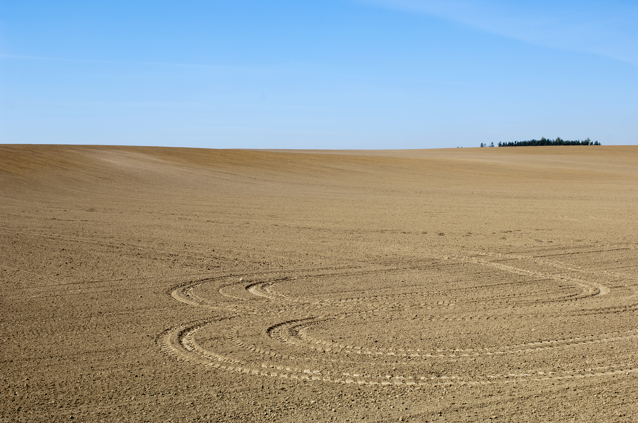 spring field with horizon