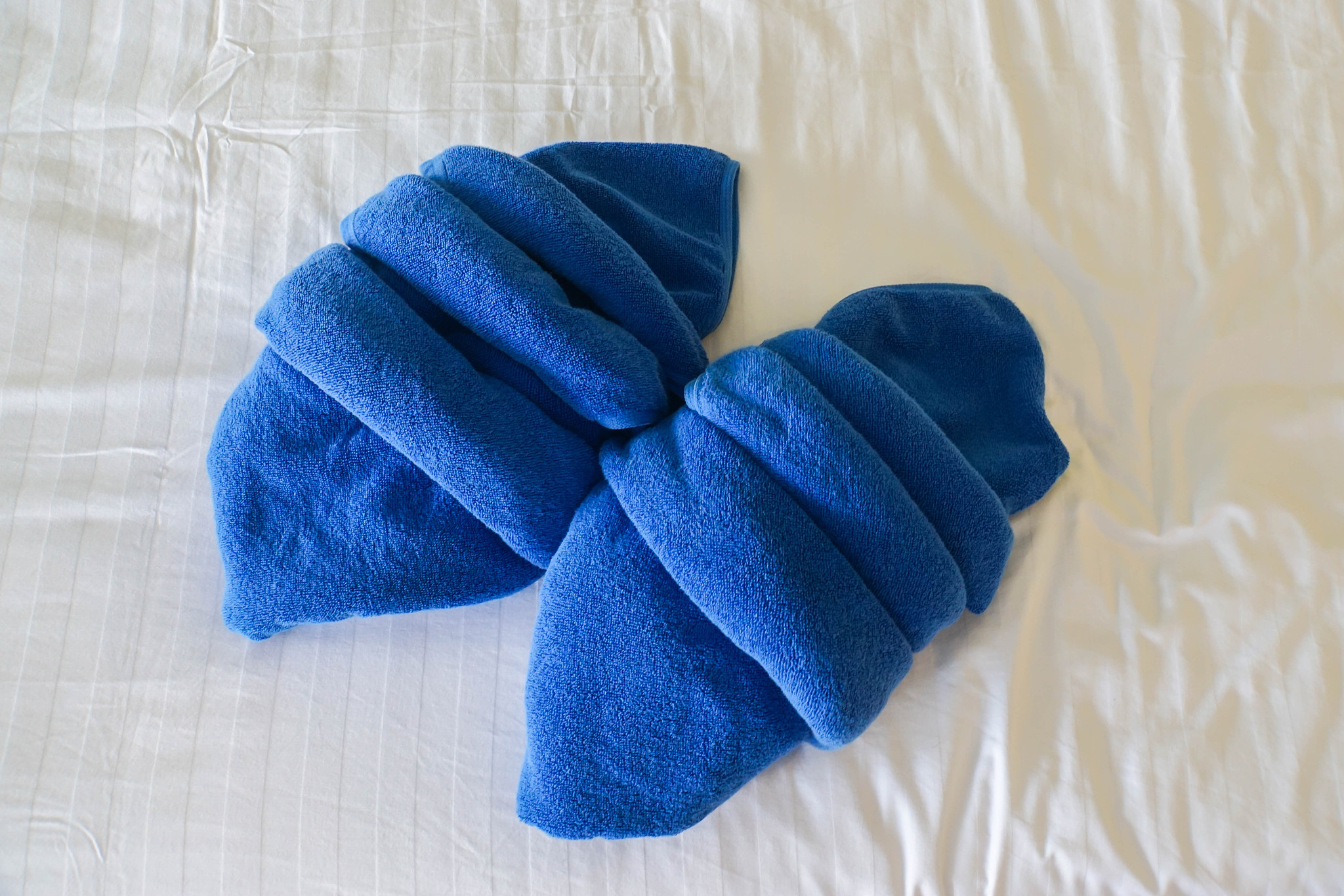 decorative neat blue towels on white mattress in hotel bedroom