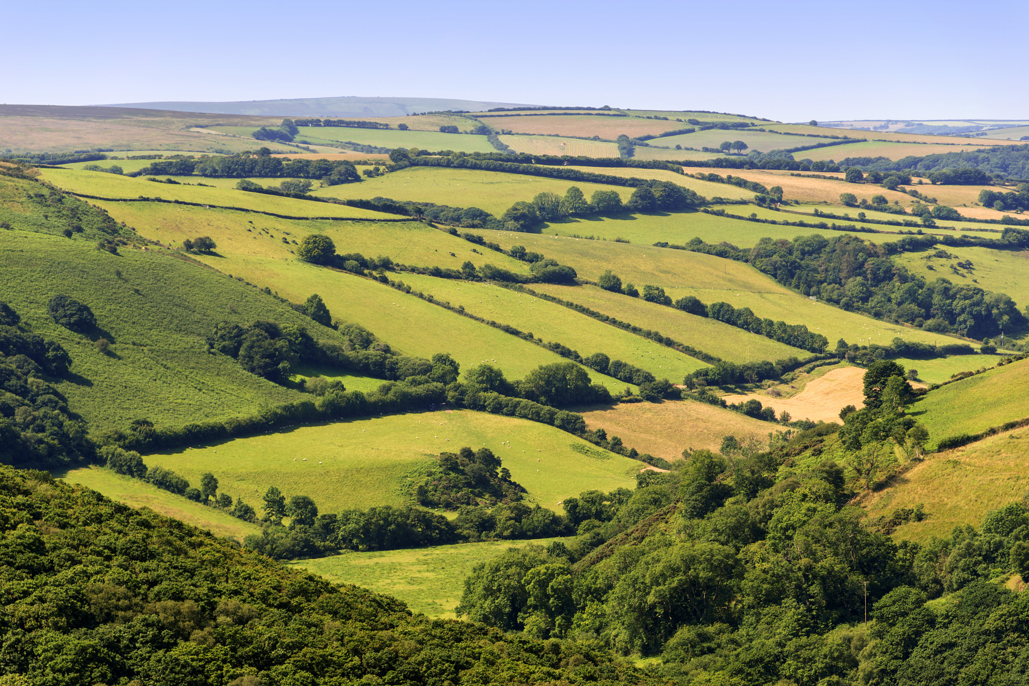 exmoor