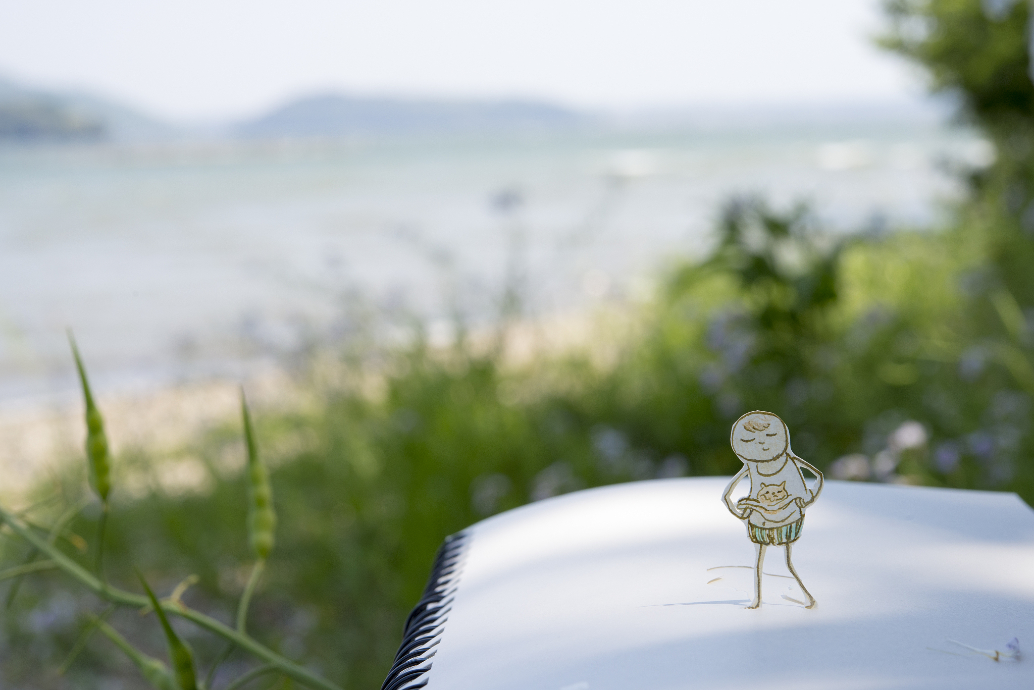 用热爱的眼光看生活，发现生活的美好