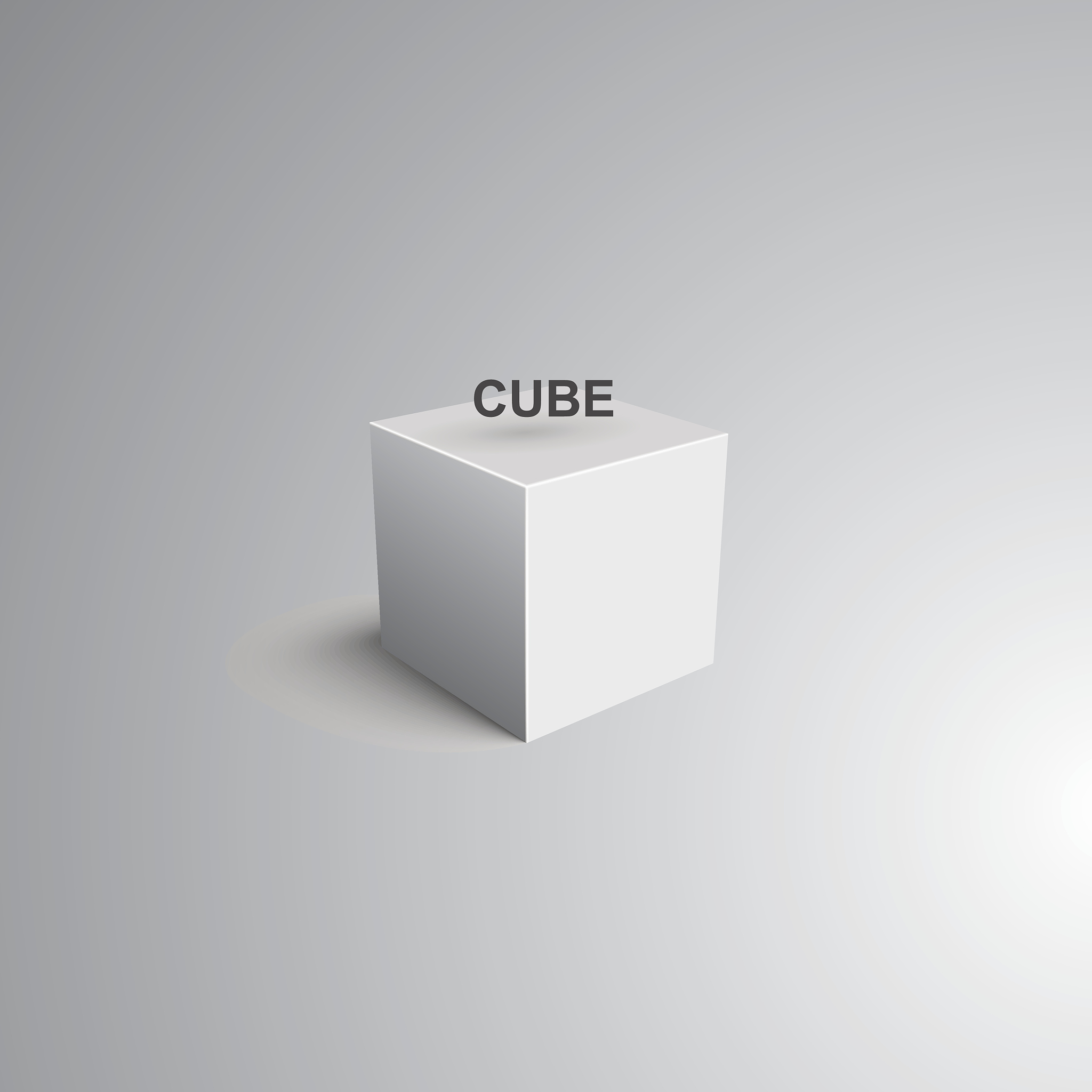 以分米做单位用分数分别表示长方形的长和宽