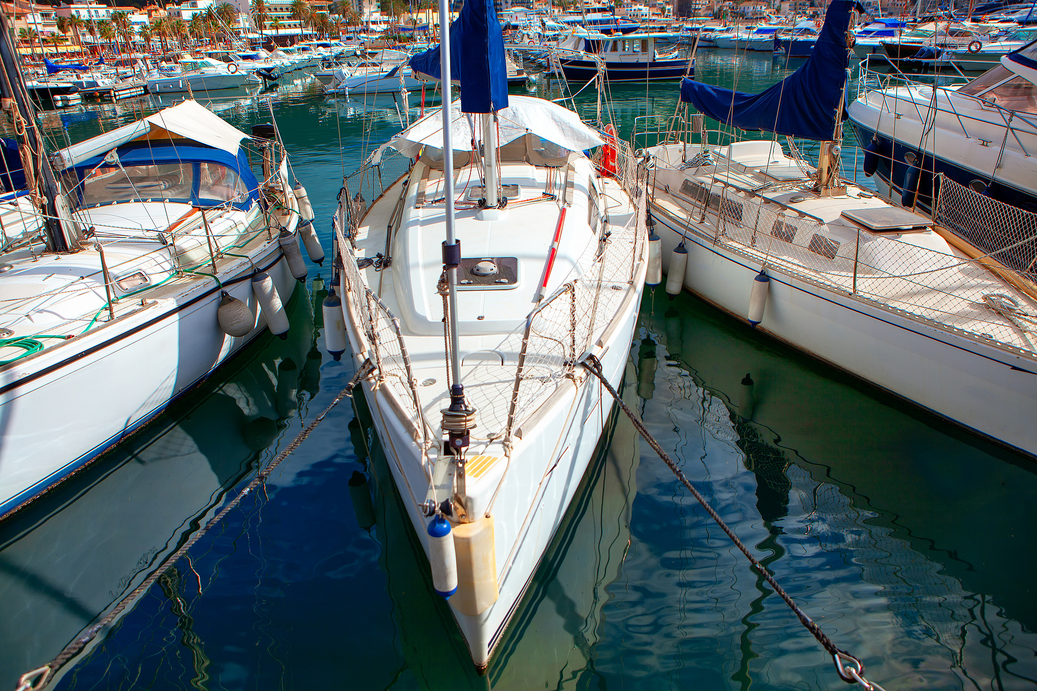 bay with white yachts