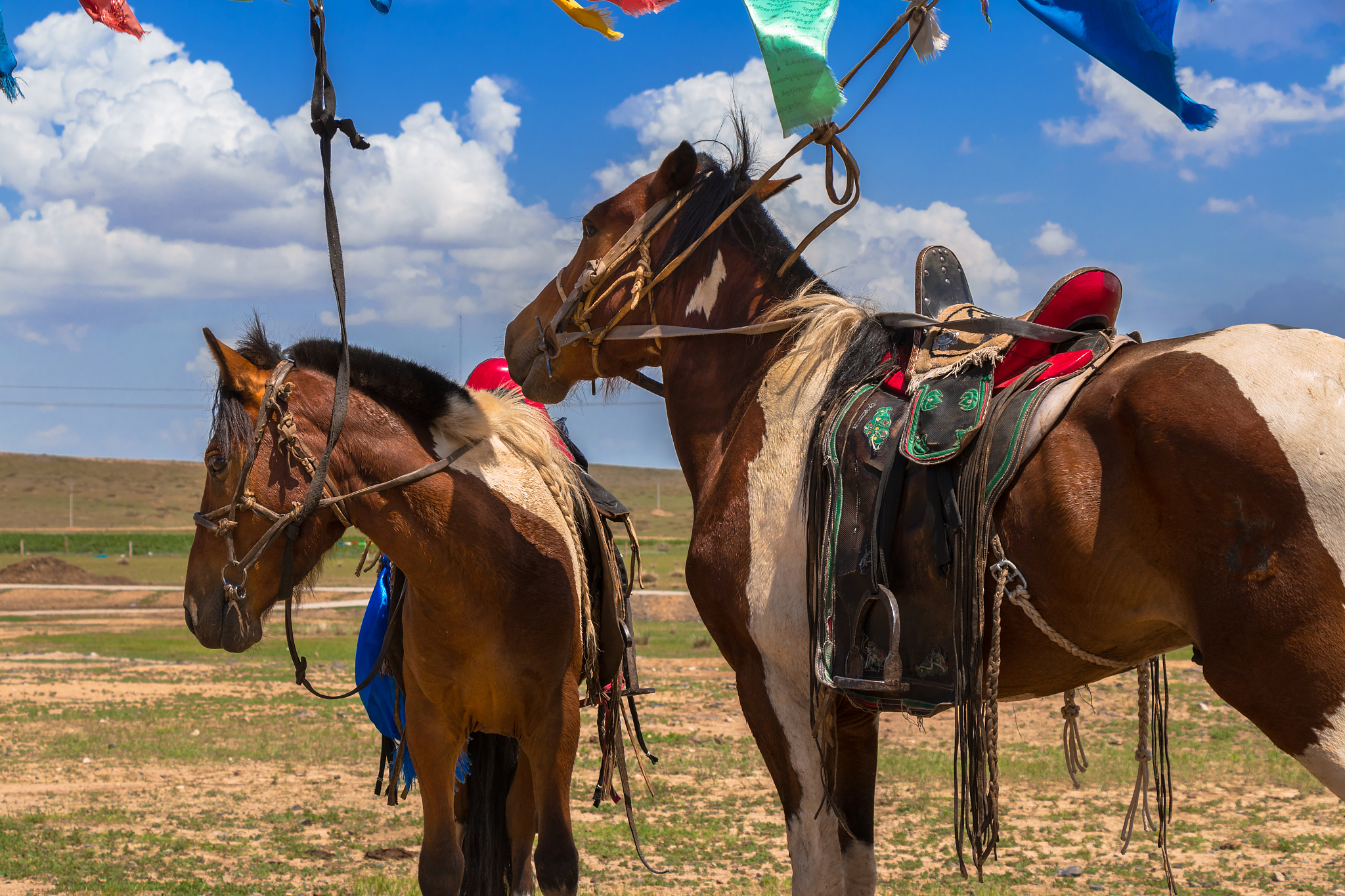 骑马民族国家读书笔记