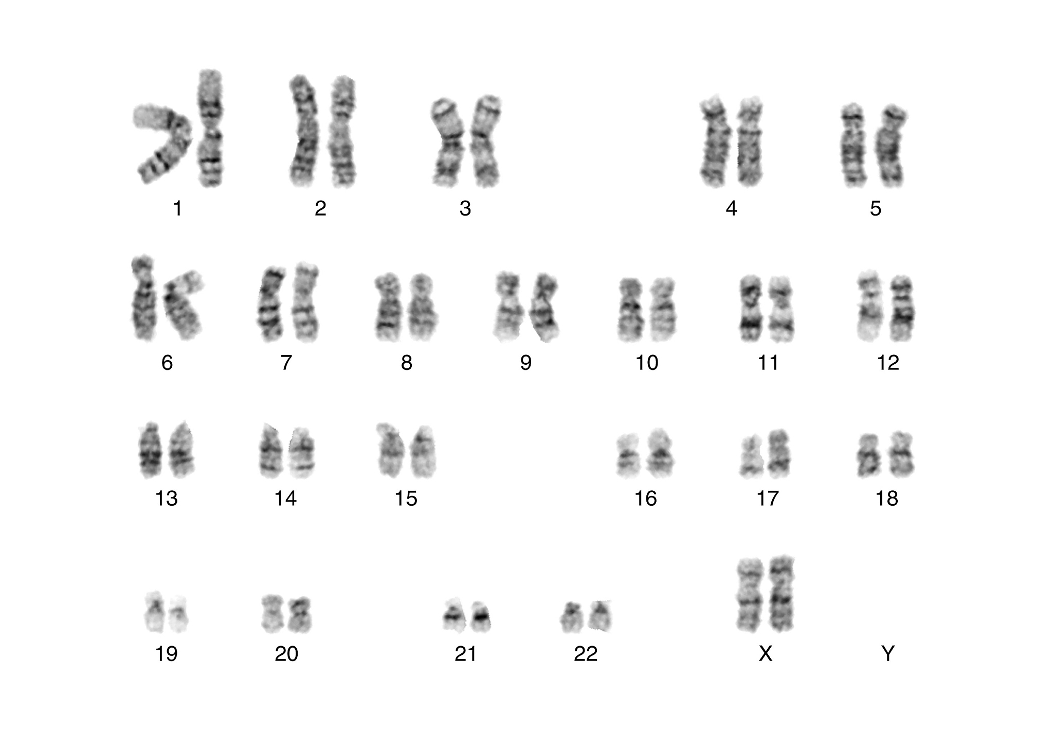 人细胞线粒体检测常用蛋白：英文名称和缩写 - 完整指南