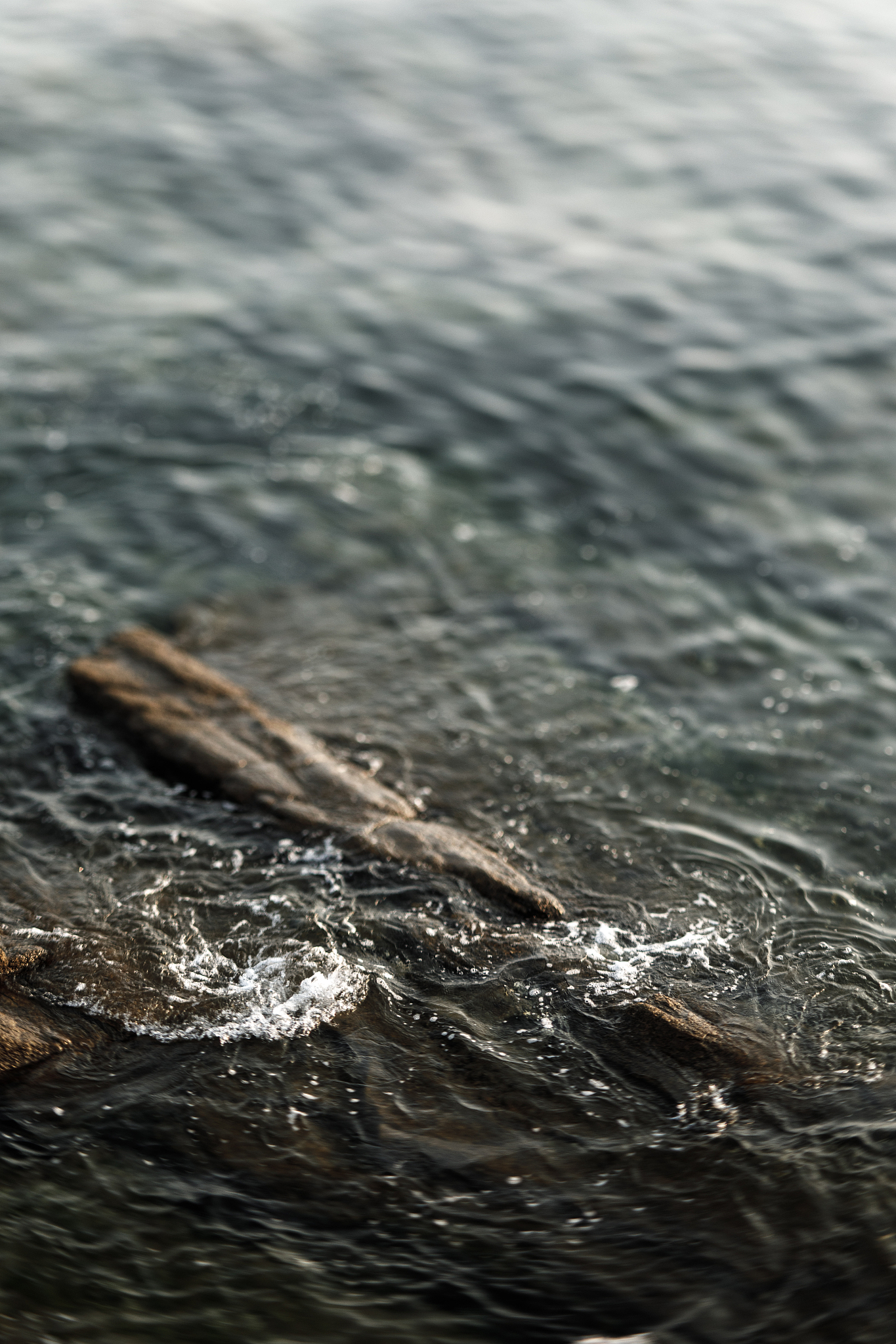 威海海洋职业学院数字媒体应用技术与新迈尔北京科技有专业如何好学吗