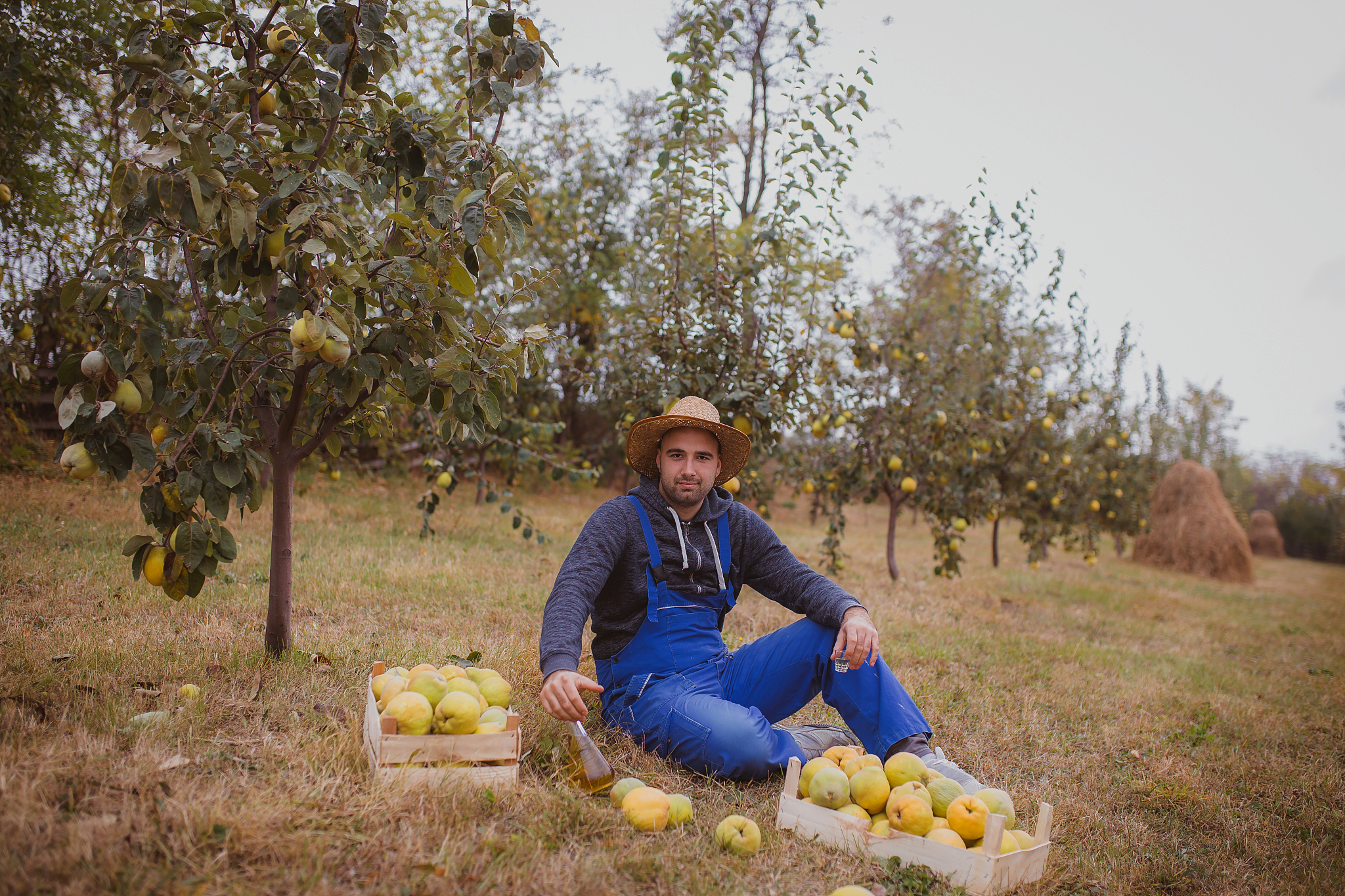 黑龙江农业职业技术学院高速铁路客运乘务专业就业方向及发展趋势
