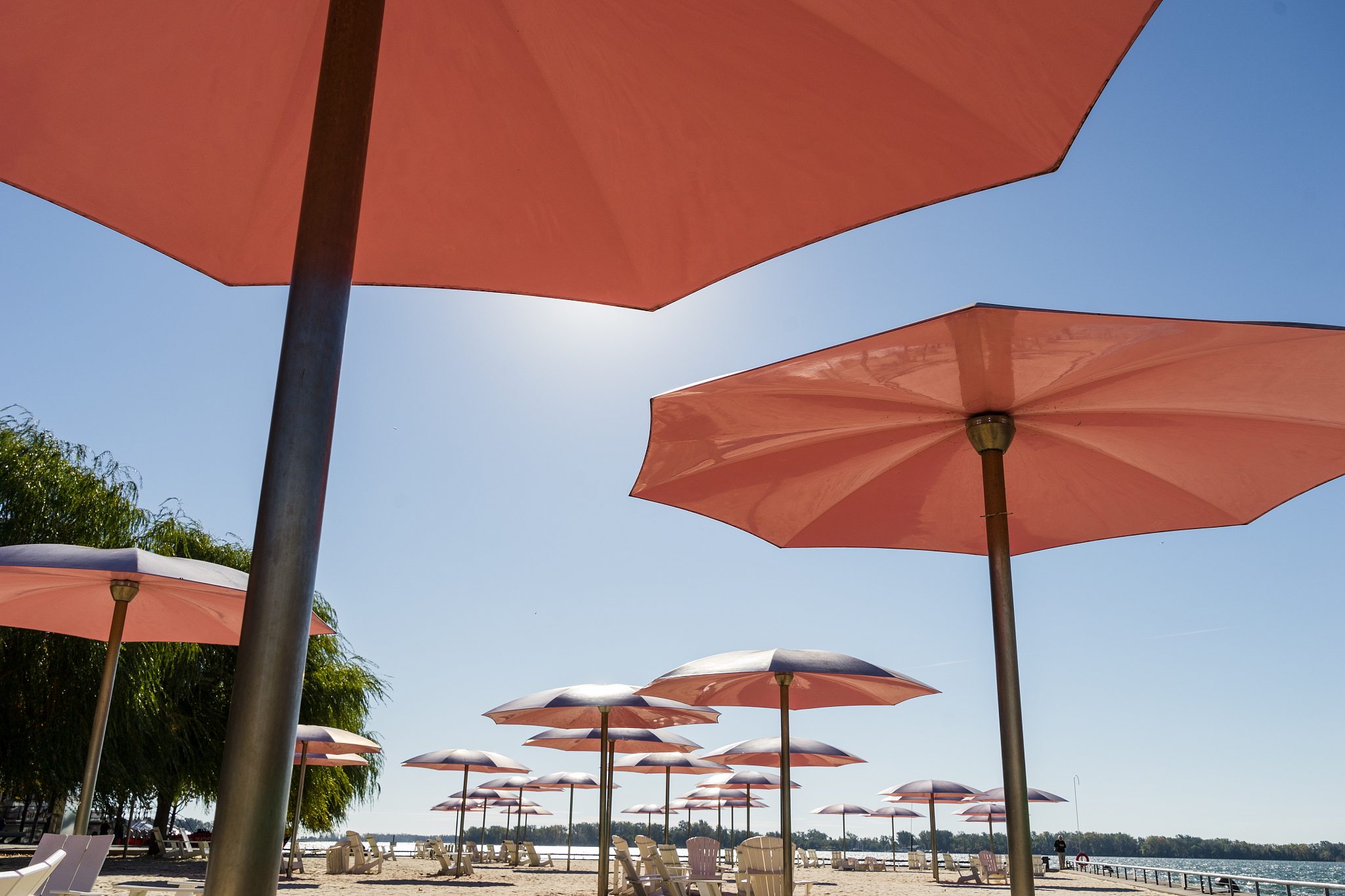 under the shade of pink beach umbrellas at a beach