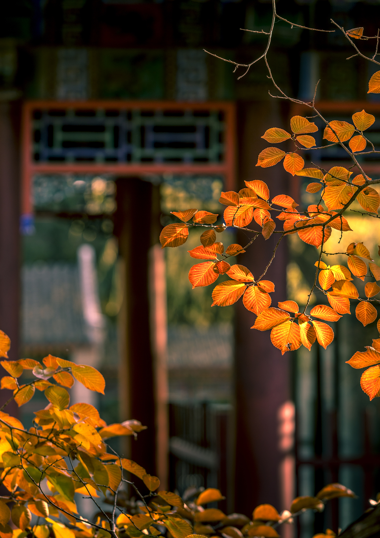 雨打花落残红去，楼心空对下雕栏。是我登高时想到的，你觉得是什么意思。