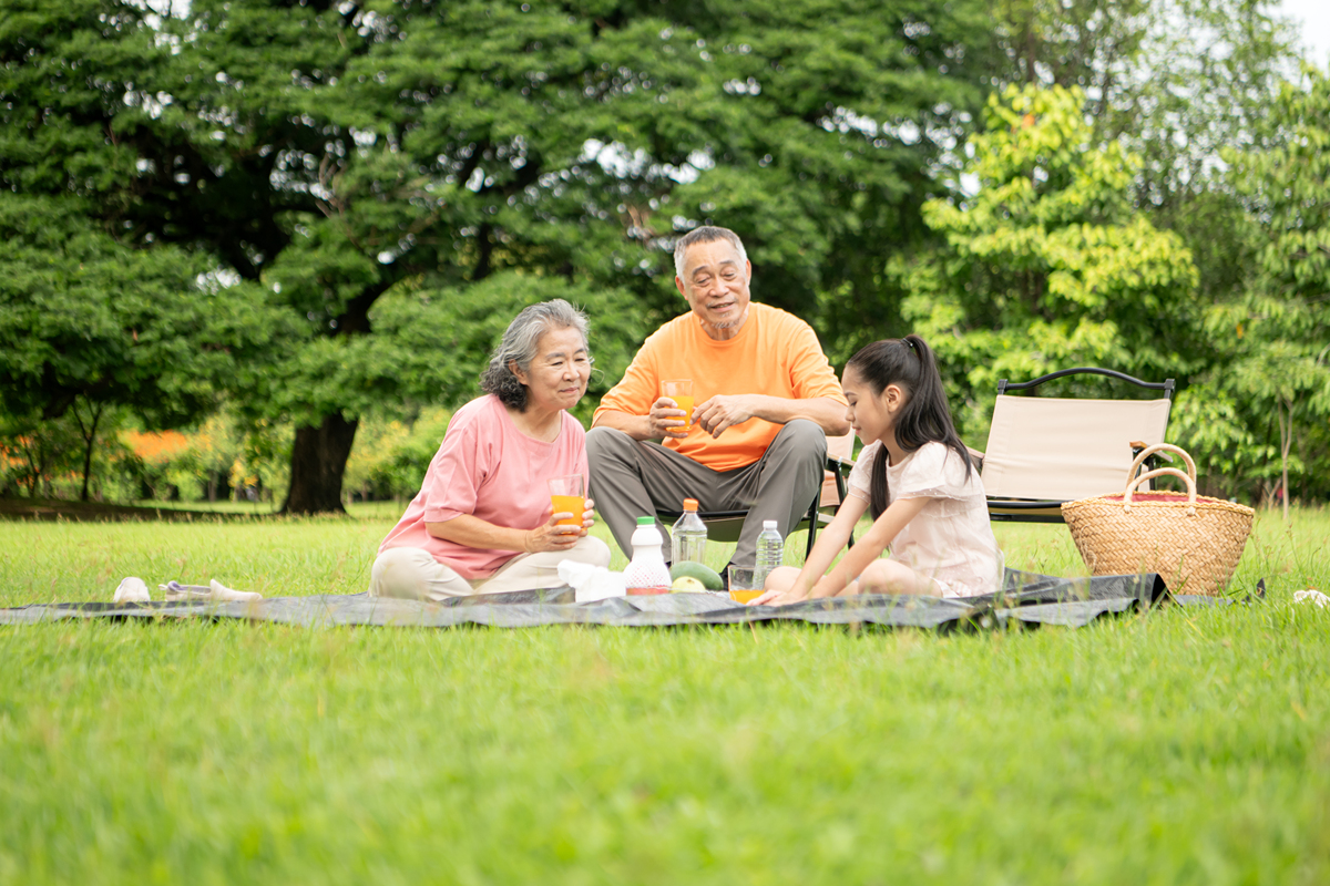 我的清闲生活：无忧无虑的幸福时光