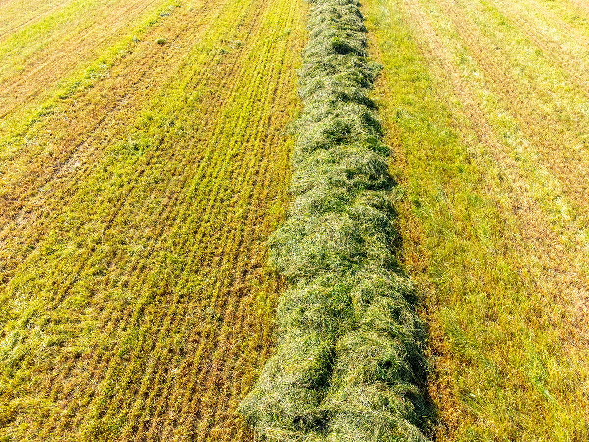 辽宁省饲草产量 - 3000万吨！