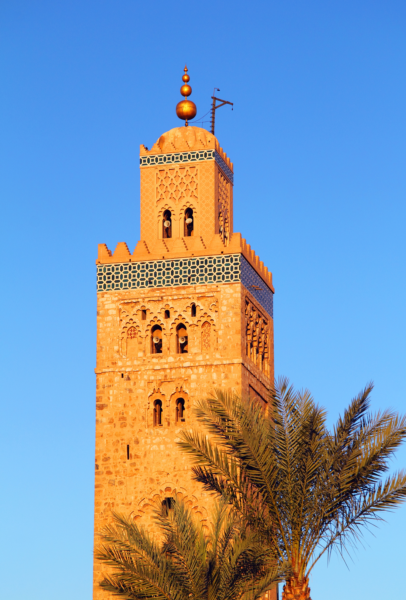 根据以下内容写一份招生广告：观元辰除了可以探望过世的亲人之外也可以看看你的本命树花以及元辰宫。人的身体健康状况在灵界所对应的就是本命树花而财运、考运、事业、感情等关于运势方面的问题在灵界所对应的就是元辰宫。观元辰除了可以探望过世的亲人之外也可以看看你的本命树花以及元辰宫。人的身体健康状况在灵界所对应的就是本命树花而财运、考运、事业、感情等关于运势方面的问题在灵界所对应的就是元辰宫。元辰宫又名元神宫