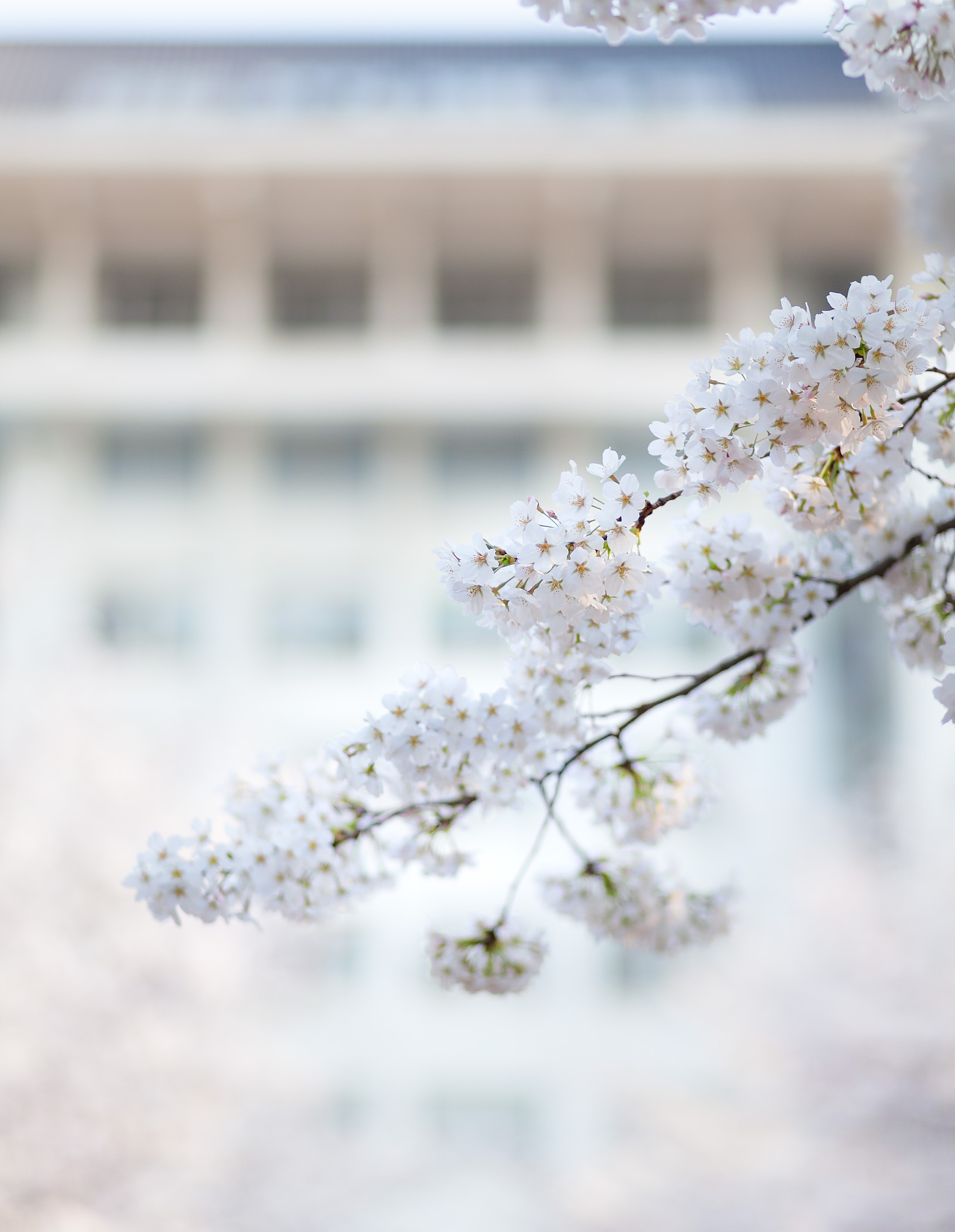 甘肃林业职业技术学院经济管理专业就业方向：从林业经济到生态保护