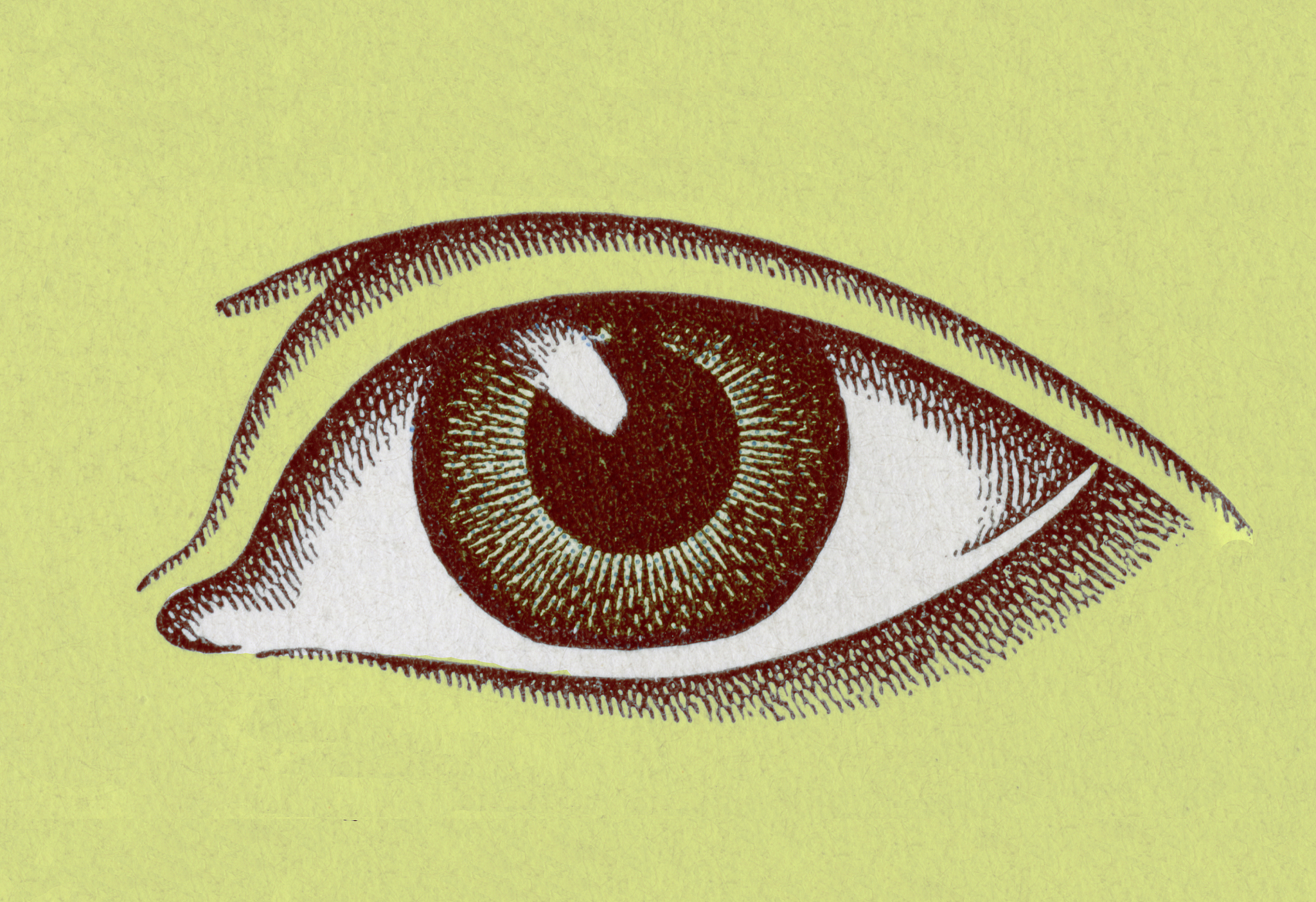 eye