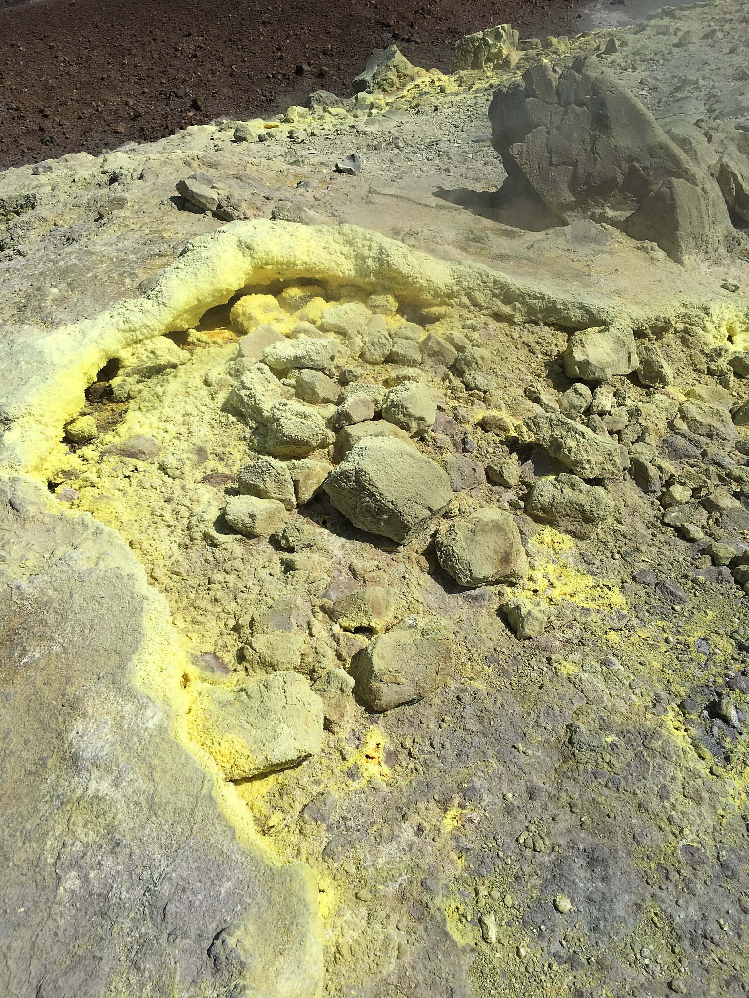 沙漠淘金攻略：新手必备指南