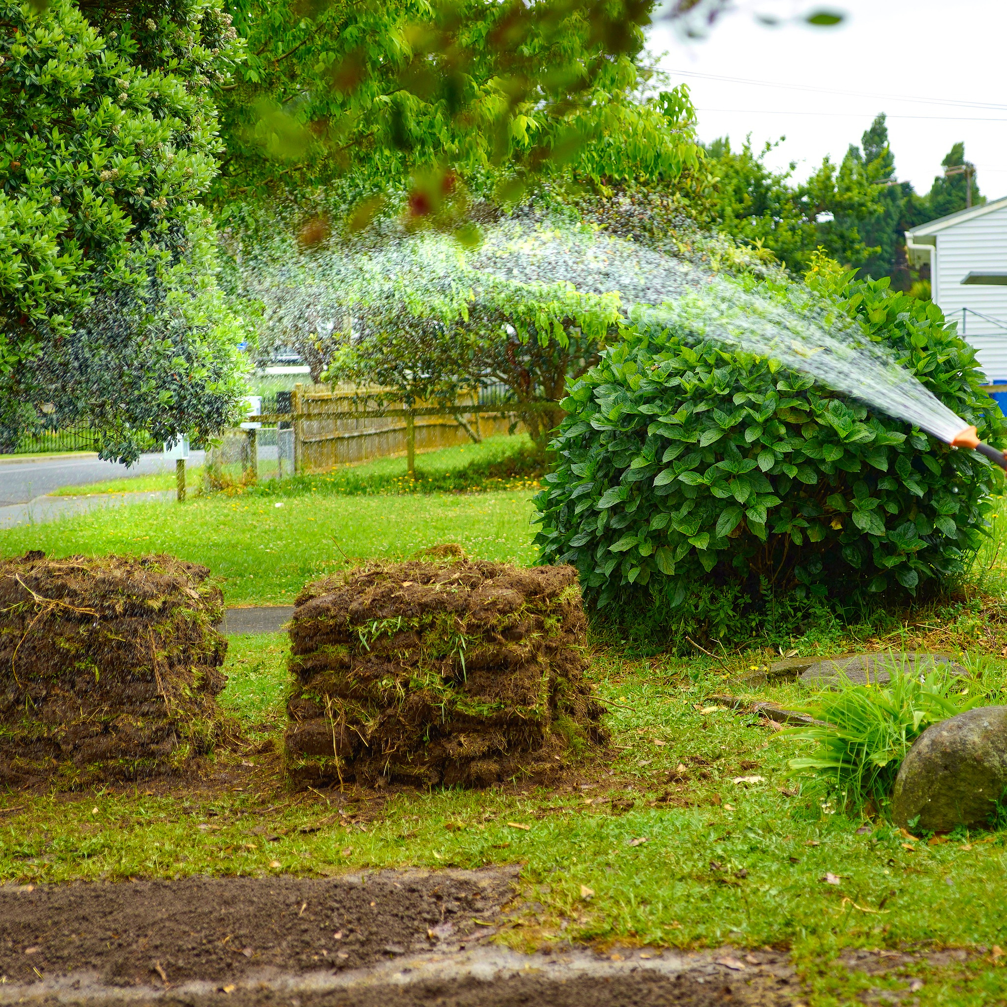 how to get high yield of cucumber