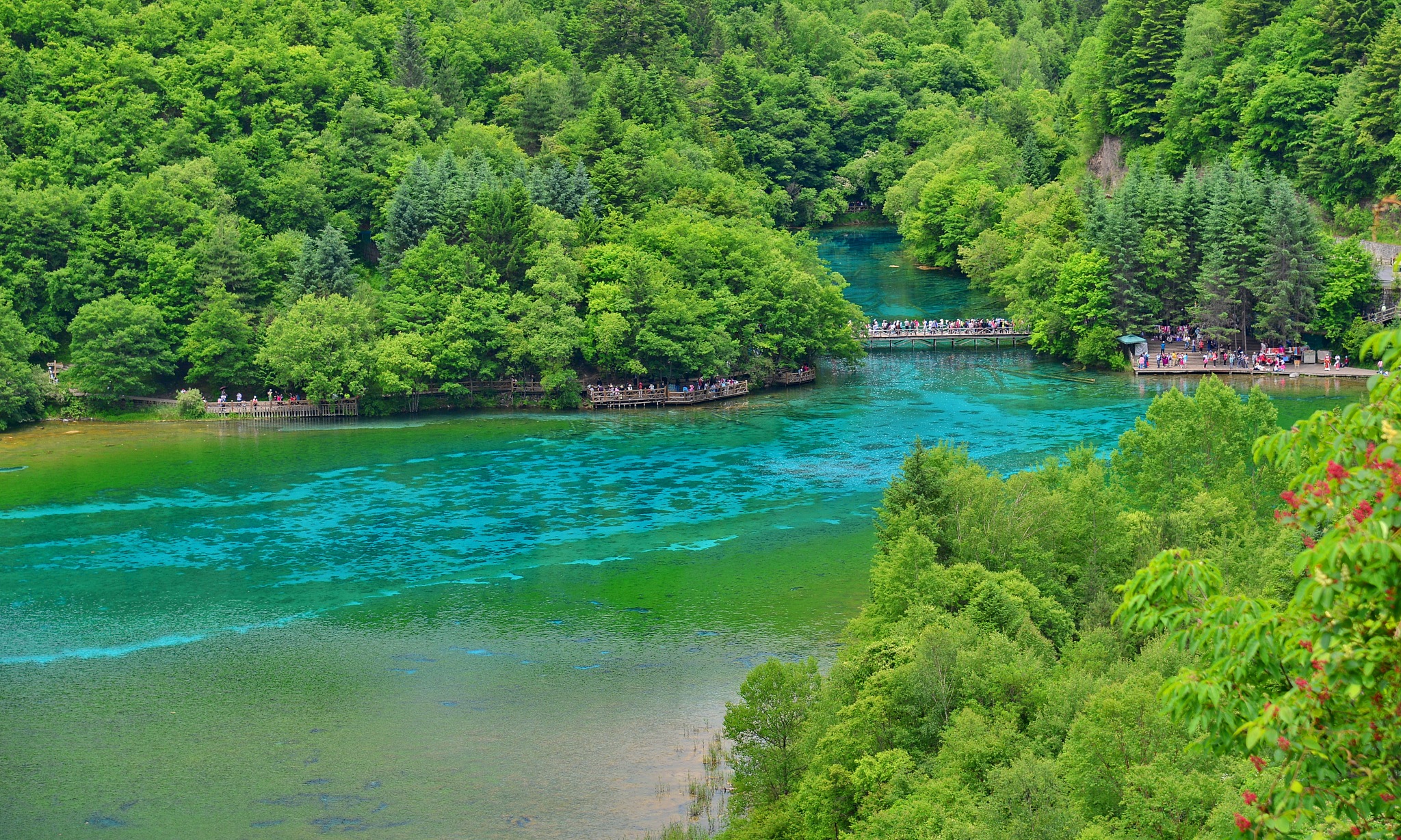 冷气萦绕淡花漫一抹阳光依山凝。