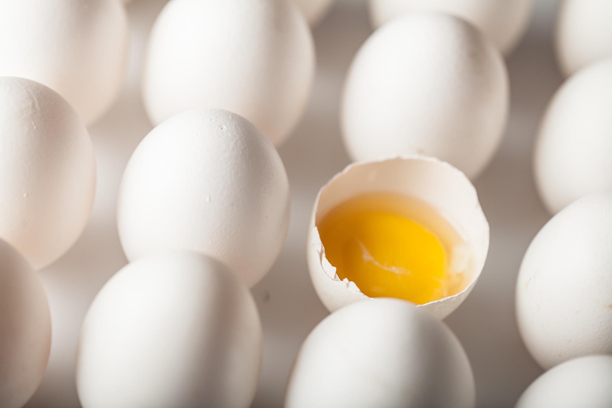 eggs.