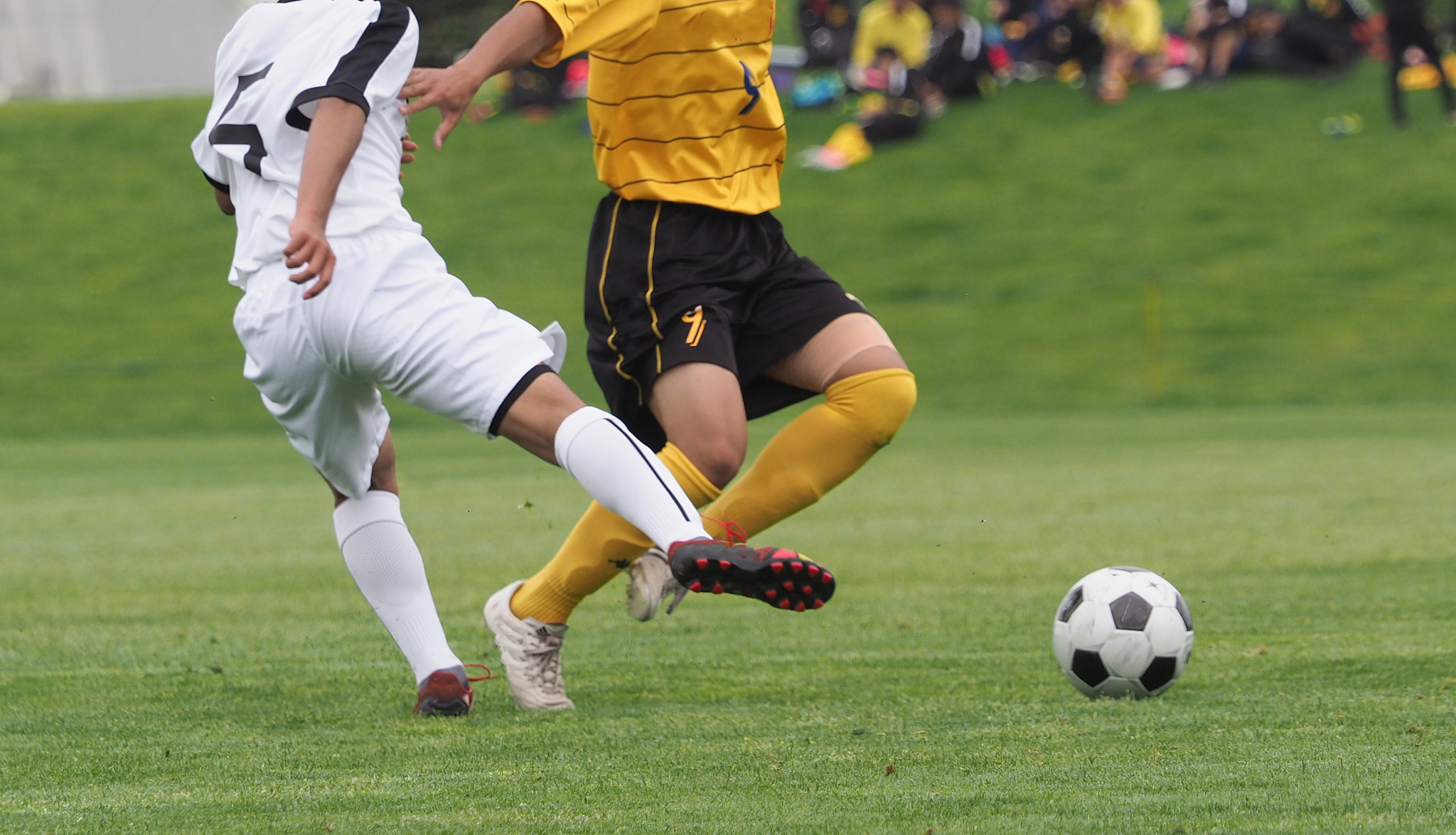 soccer