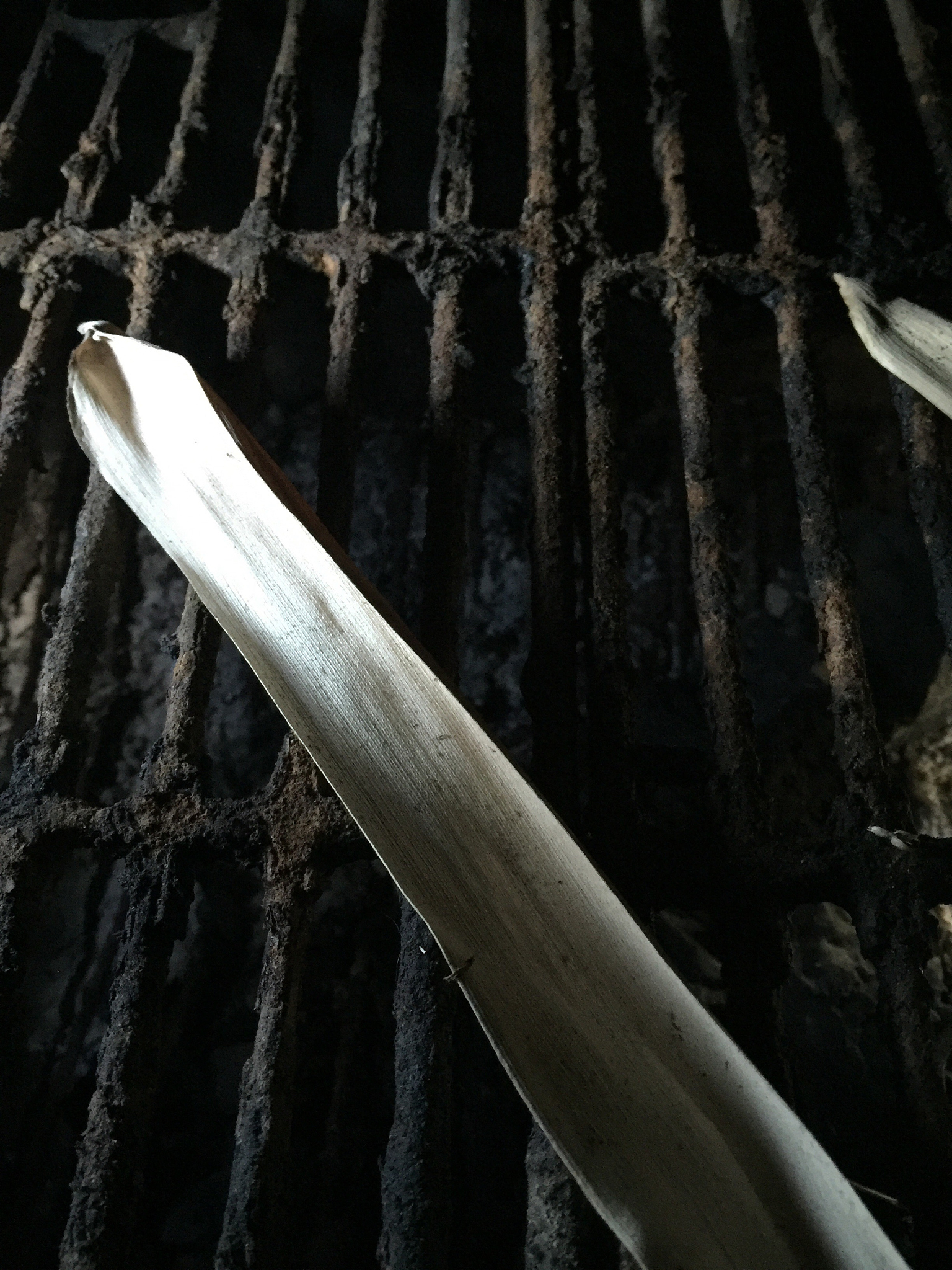 high angle view of dry leaf on rusty metal grate