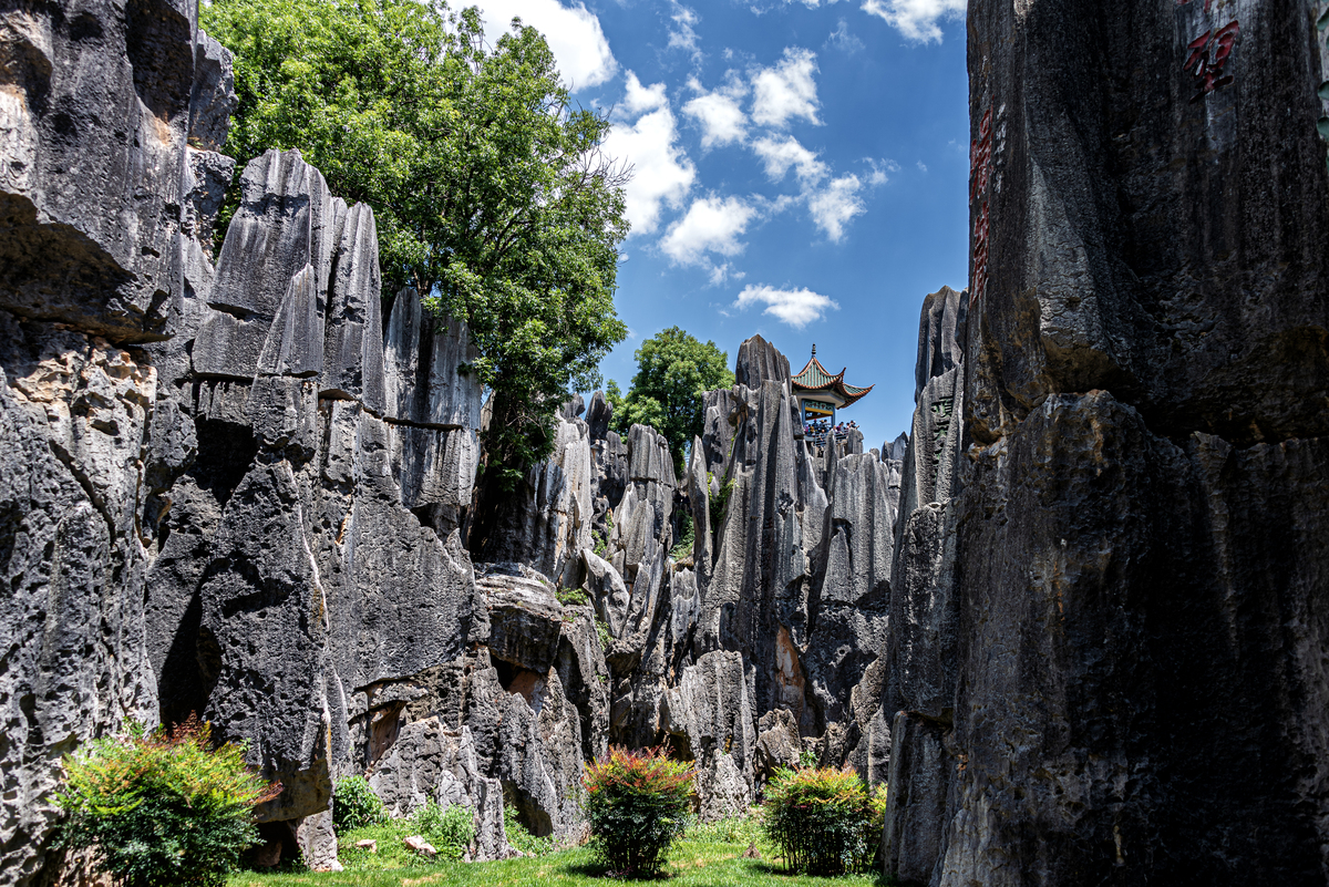 云南石林旅游攻略：探秘奇幻石林，感受大自然的鬼斧神工
