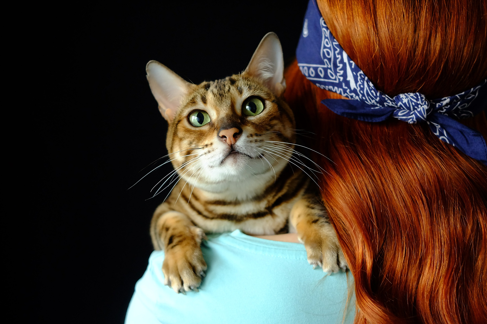 close-up of redhead woman with cat against black background