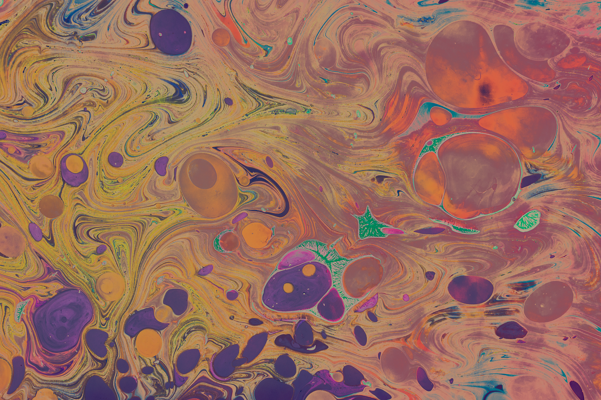 乐多主播，才华迷人