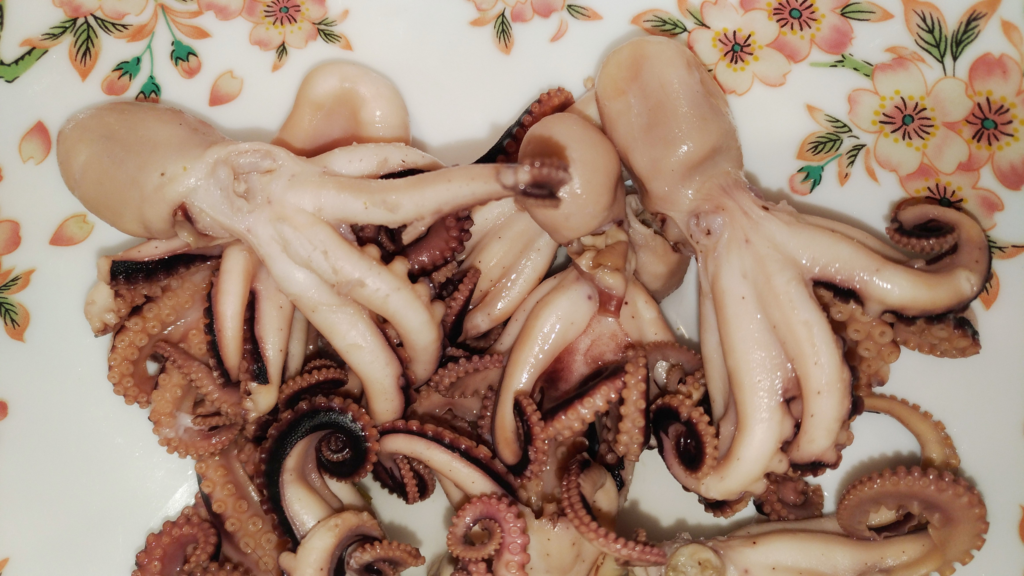 章鱼煮多久才熟？完整时间指南！